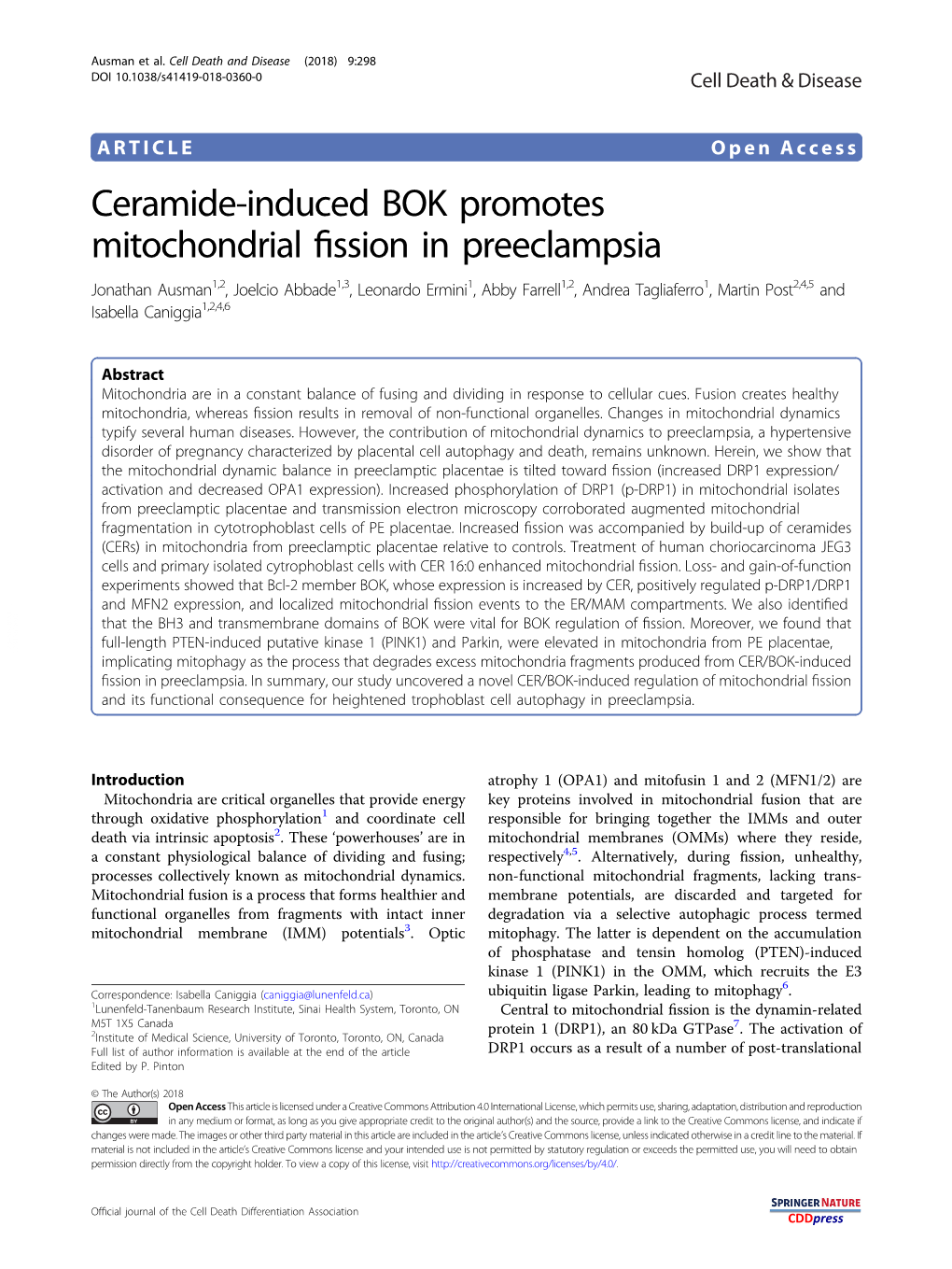 Ceramide-Induced BOK Promotes Mitochondrial Fission in Preeclampsia