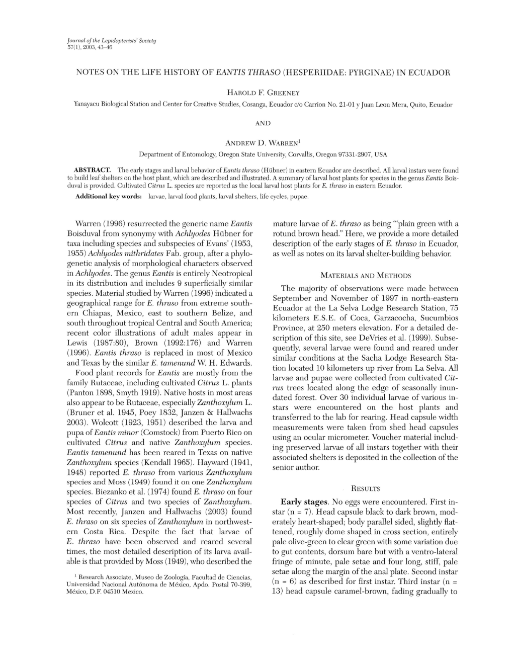 NOTES on the LIFE HISTORY of EANTIS THRASO (HESPERIIDAE: PYH.GINAE) in ECUADOR Warren (1996) Resurrected the Generic Name Eantis