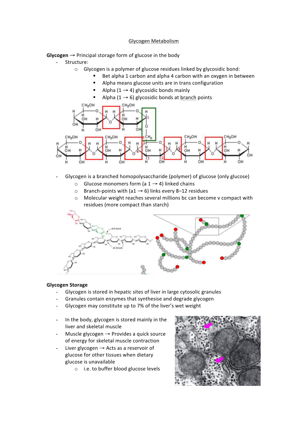 Glycogen!Metabolism! ! Glycogen$→!Principal!Storage!Form!Of!Glucose!In!The!Body$