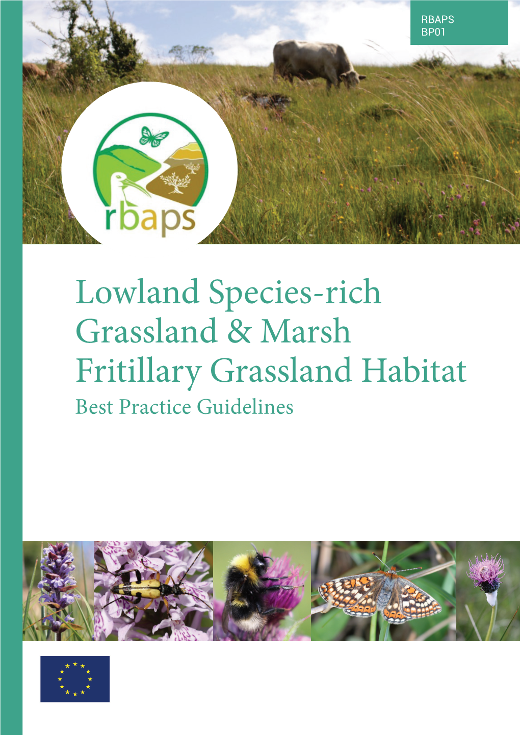 Lowland Species-Rich Grassland & Marsh Fritillary Grassland Habitat