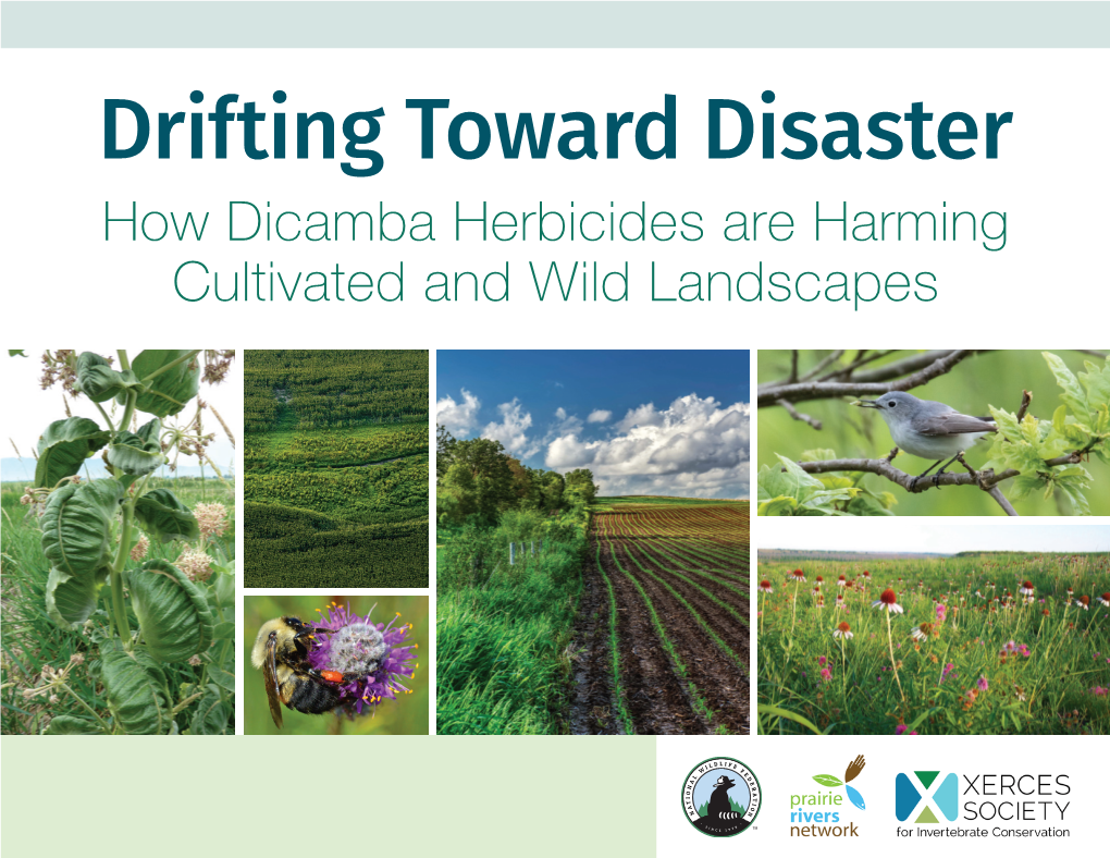 Drifting Toward Disaster: How Dicamba Herbicides Are Harming Cultivated and Wild Landscapes