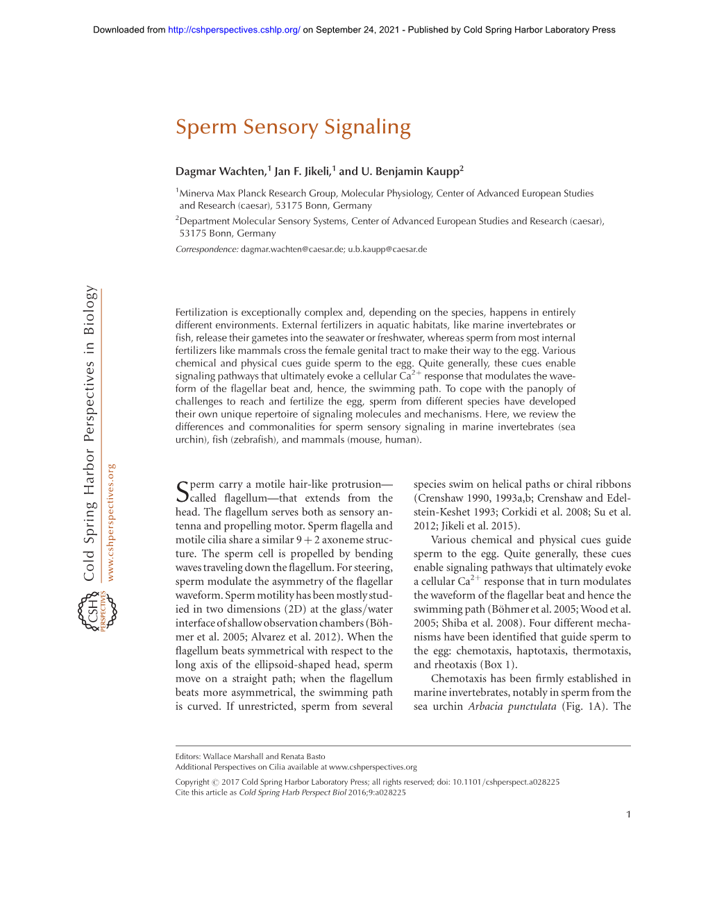 Sperm Sensory Signaling