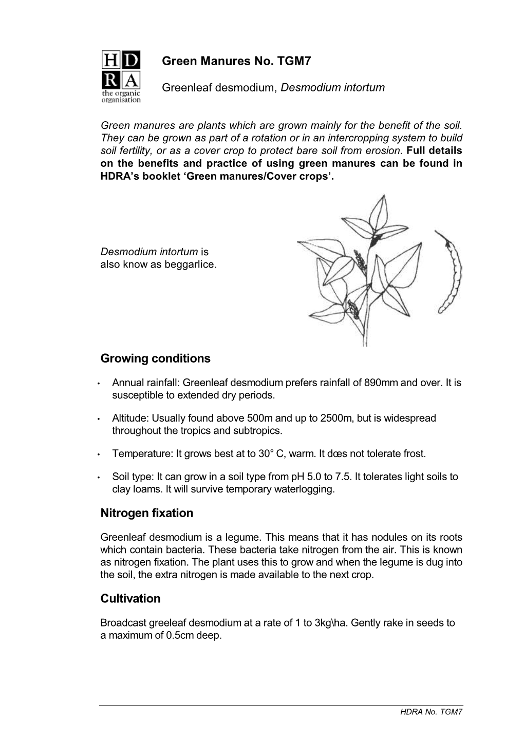 Greenleaf Desmodium, Desmodium Intortum