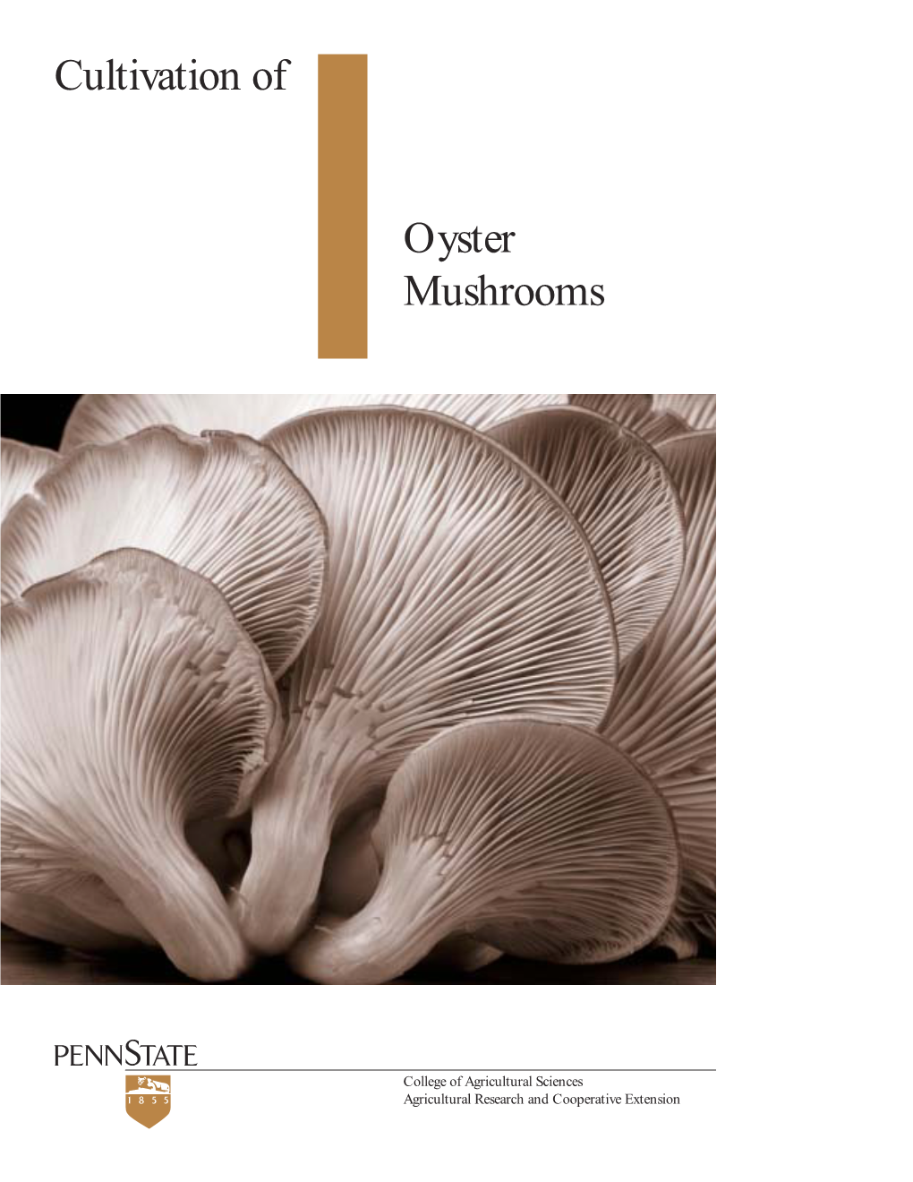Cultivation of Oyster Mushrooms