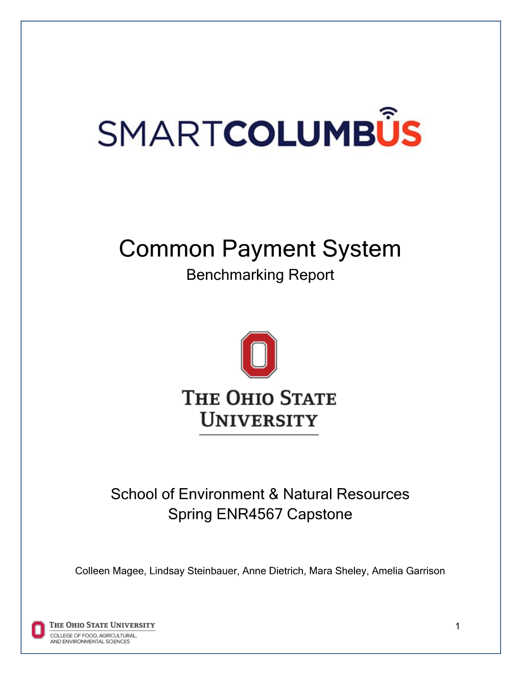 Common Payment System Benchmarking Report