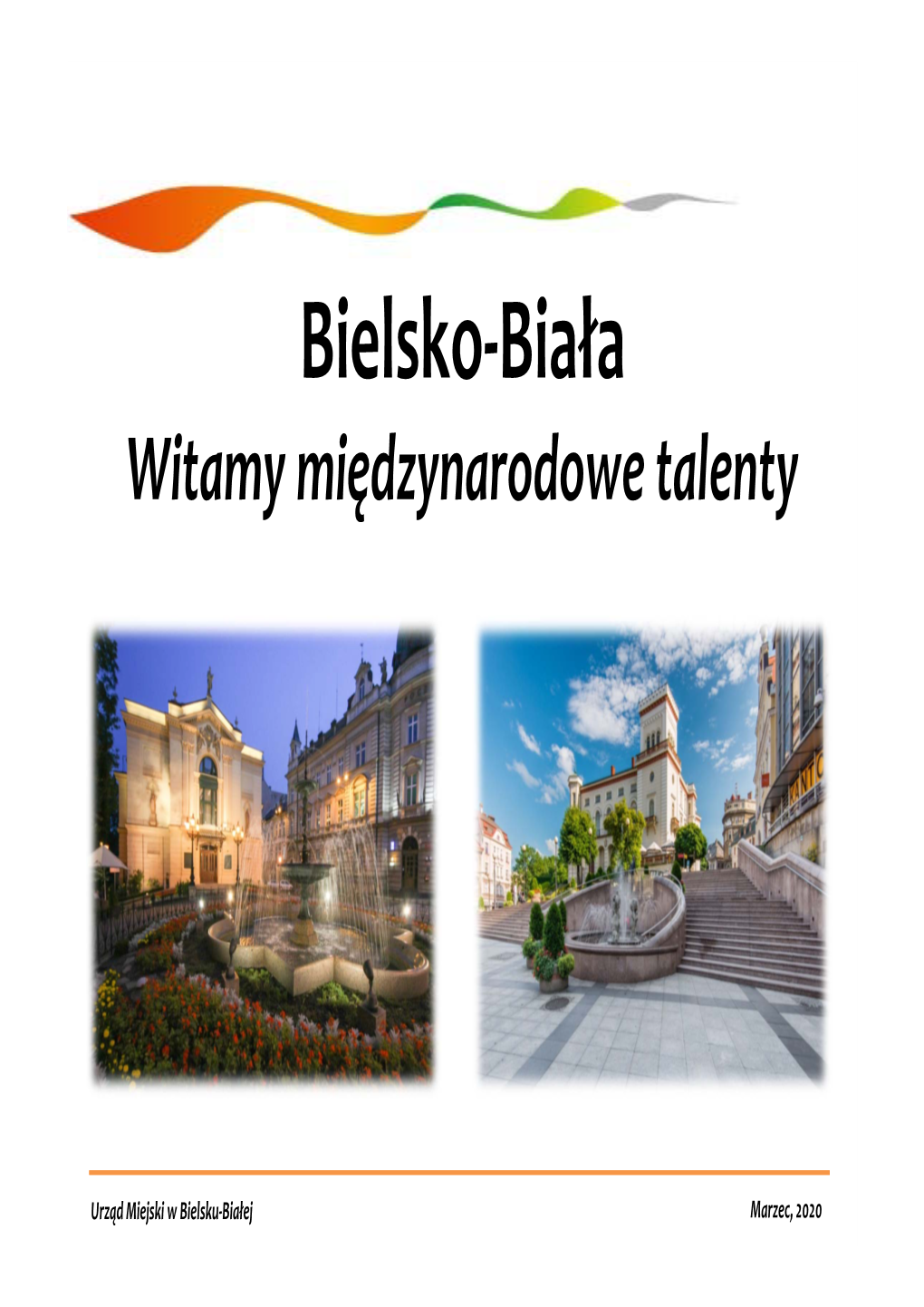 Demografia Bielsko-Biała