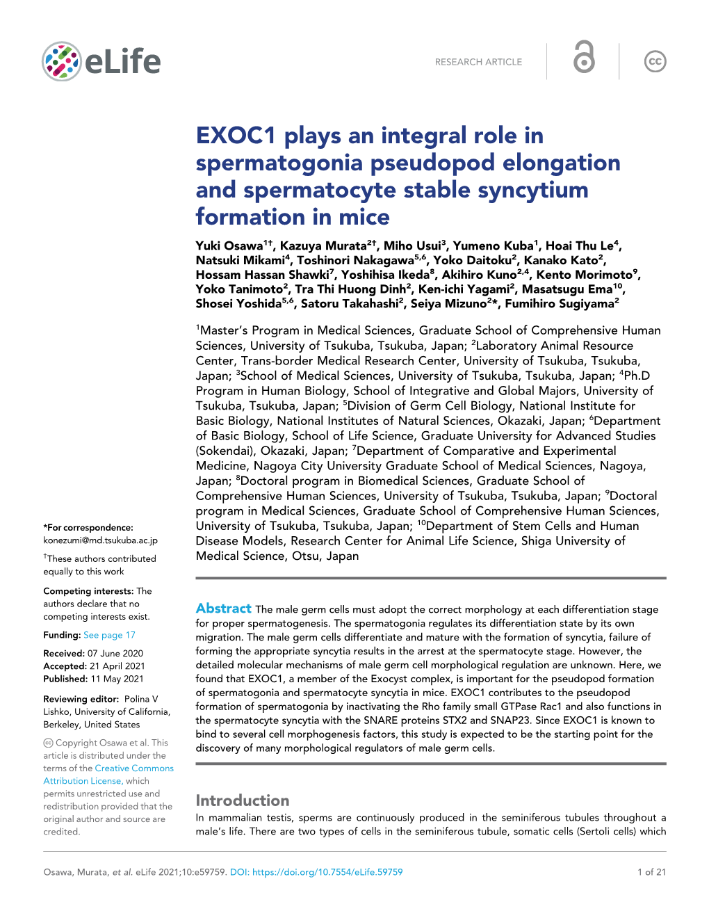 EXOC1 Plays an Integral Role in Spermatogonia Pseudopod