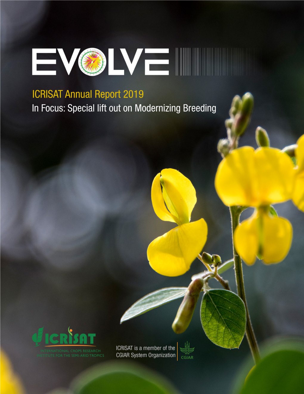 ICRISAT Annual Report 2019 in Focus: Special Lift out on Modernizing Breeding ICRISAT Annual 2019 in Focus: Special Lift out on Modernizing Breeding