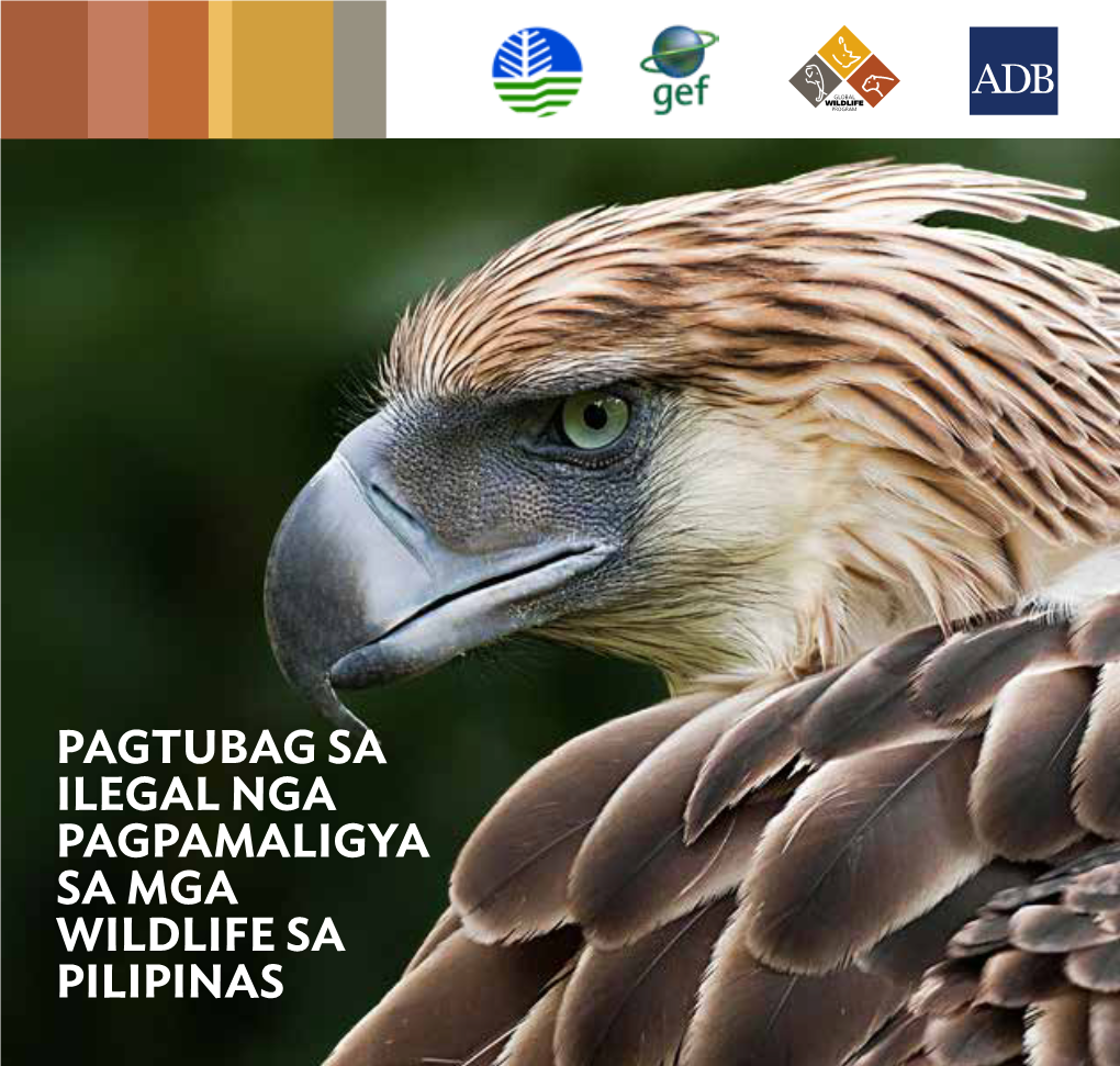 Pagtubag Sa Ilegal Nga Pagpamaligya Sa Mga Wildlife Sa Pilipinas