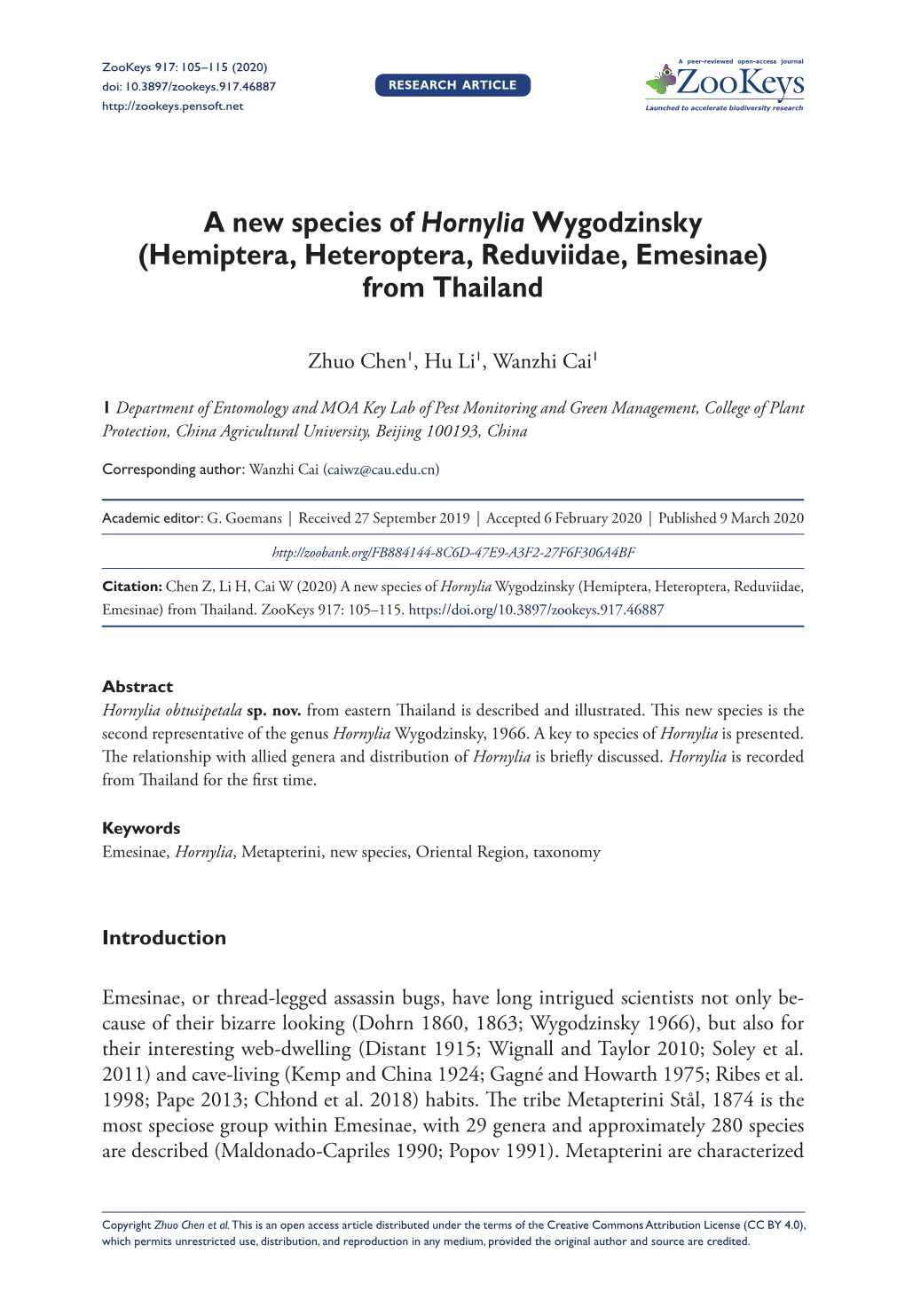 A New Species of Hornylia Wygodzinsky (Hemiptera, Heteroptera, Reduviidae, Emesinae) from Thailand