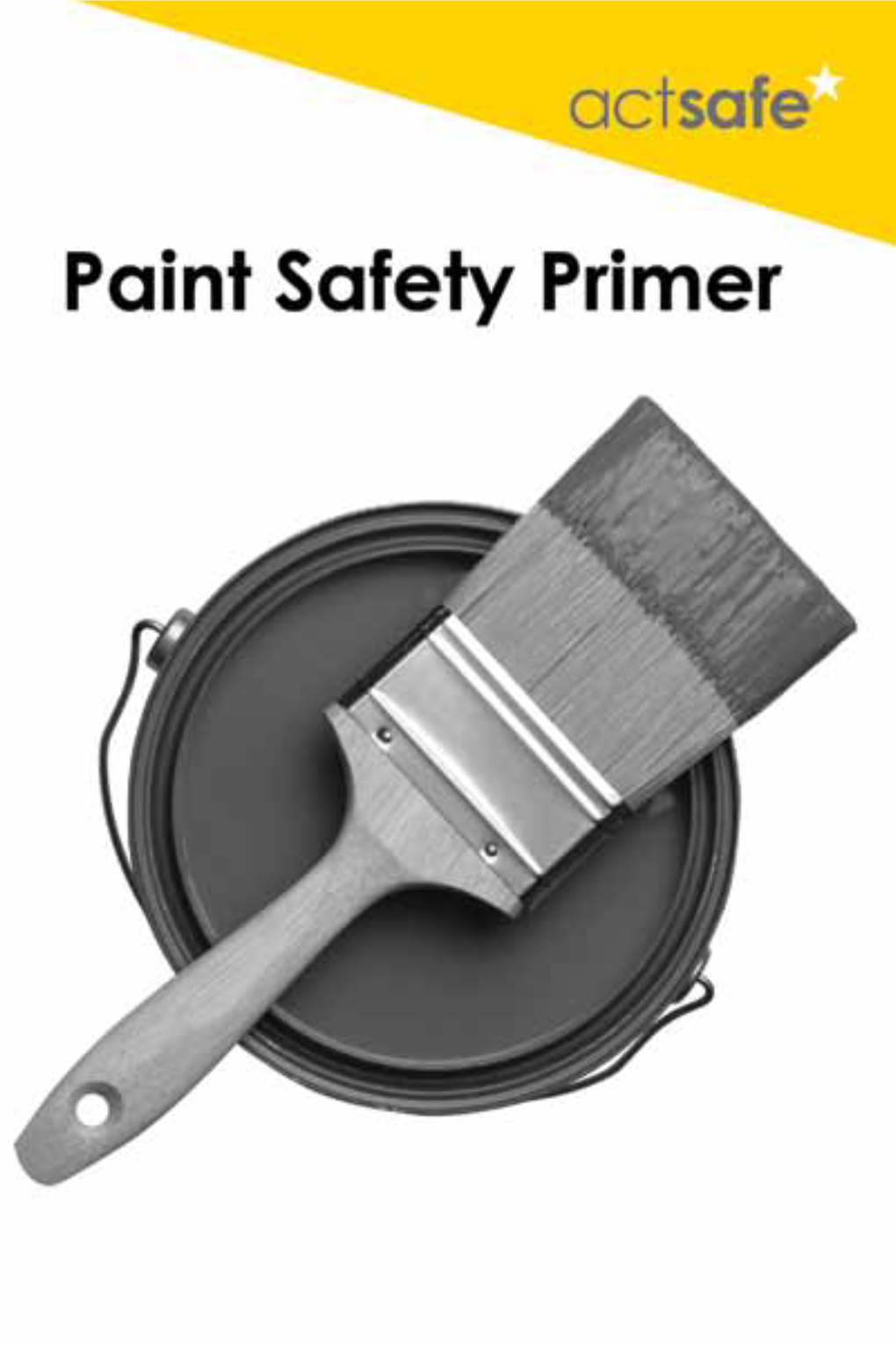 Paint-Safety-Primer.Pdf