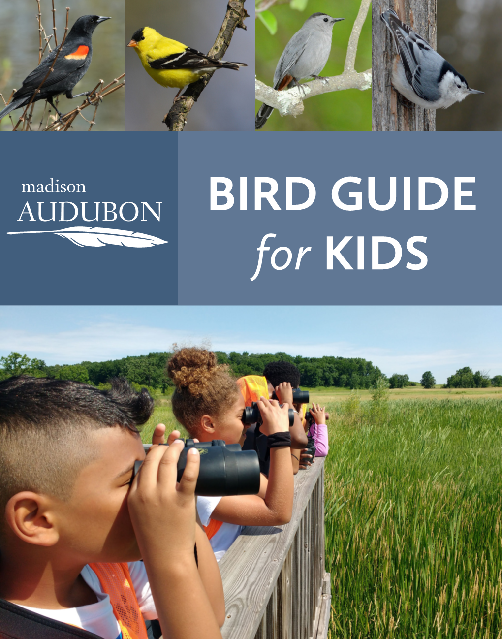 BIRD GUIDE for KIDS TABLE of CONTENTS