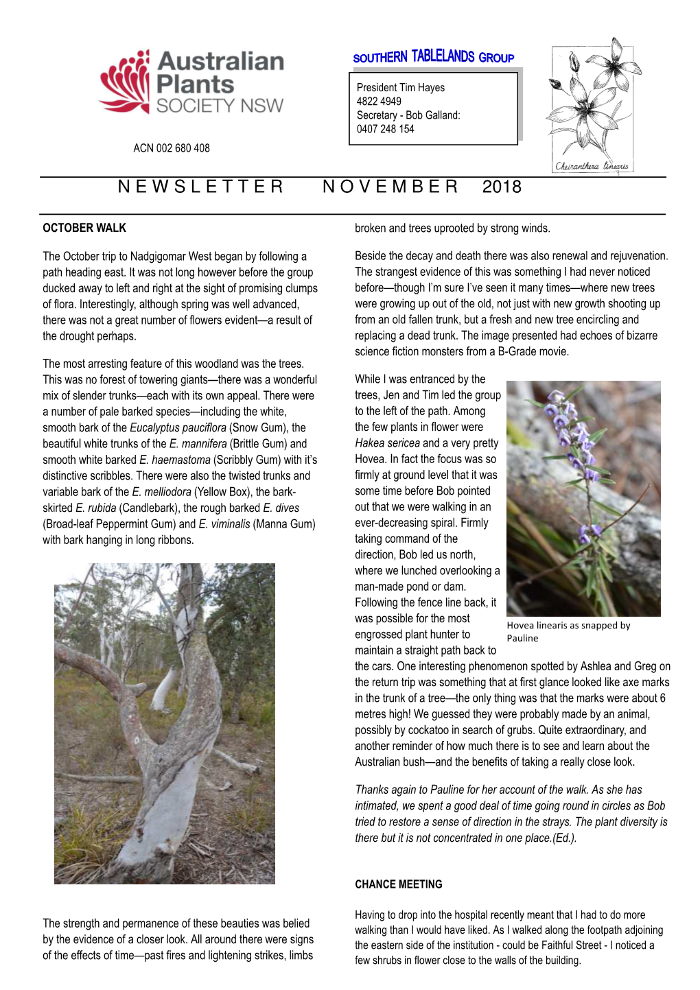 Newsletter November