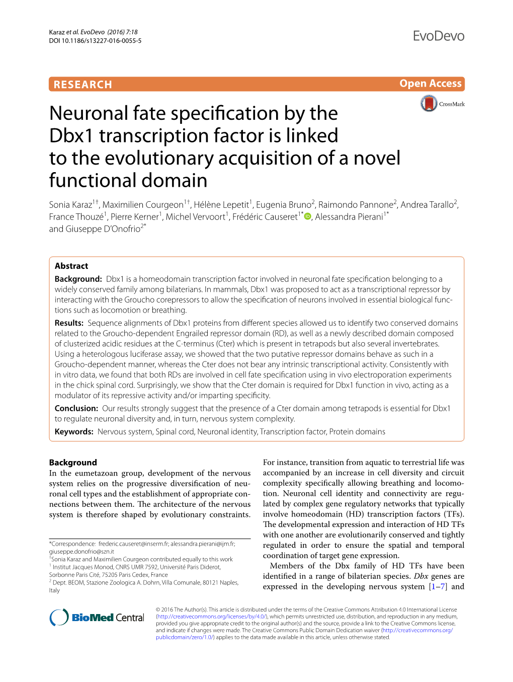 Neuronal Fate Specification by the Dbx1 Transcription Factor Is Linked To