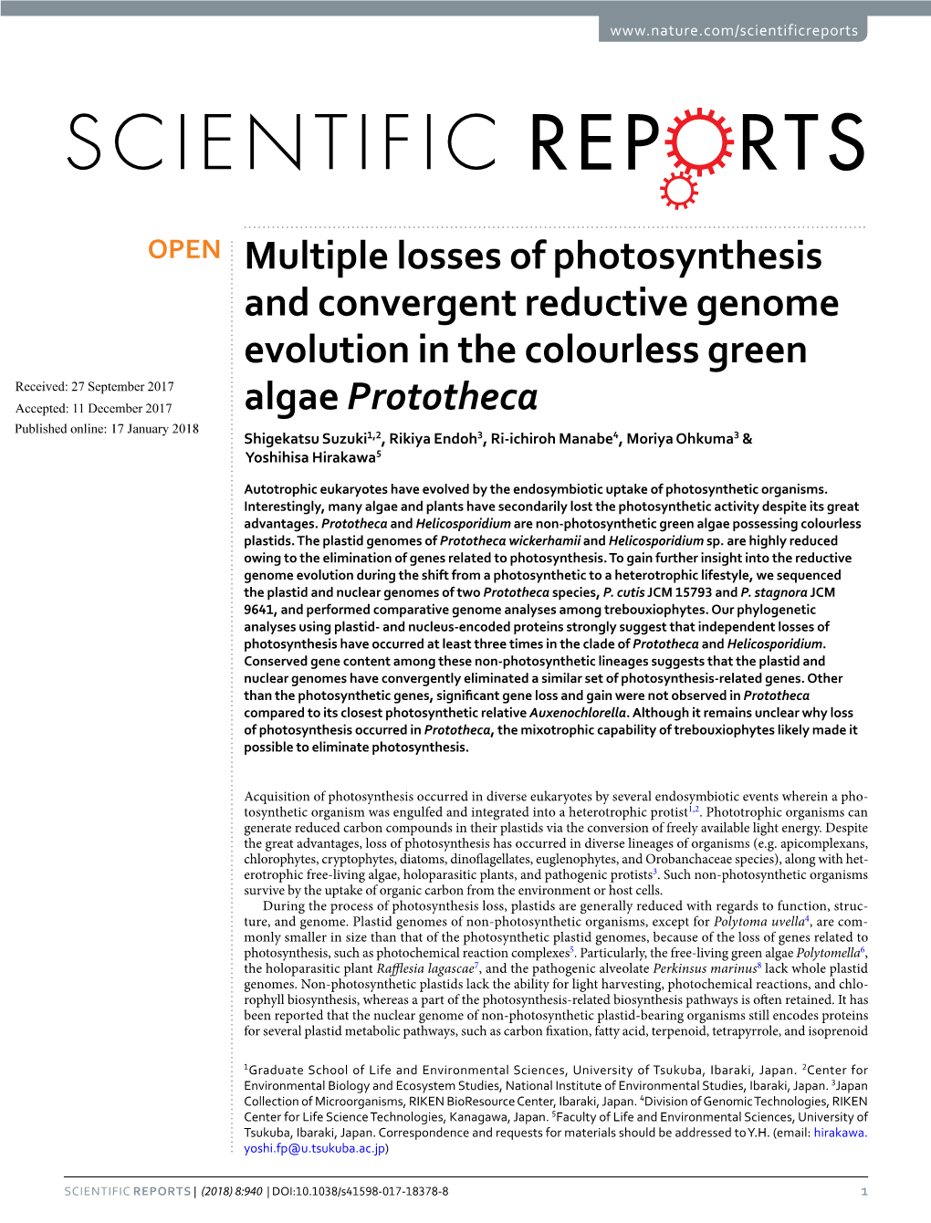 Multiple Losses of Photosynthesis and Convergent Reductive Genome Evolution in the Colourless Green Algae Prototheca