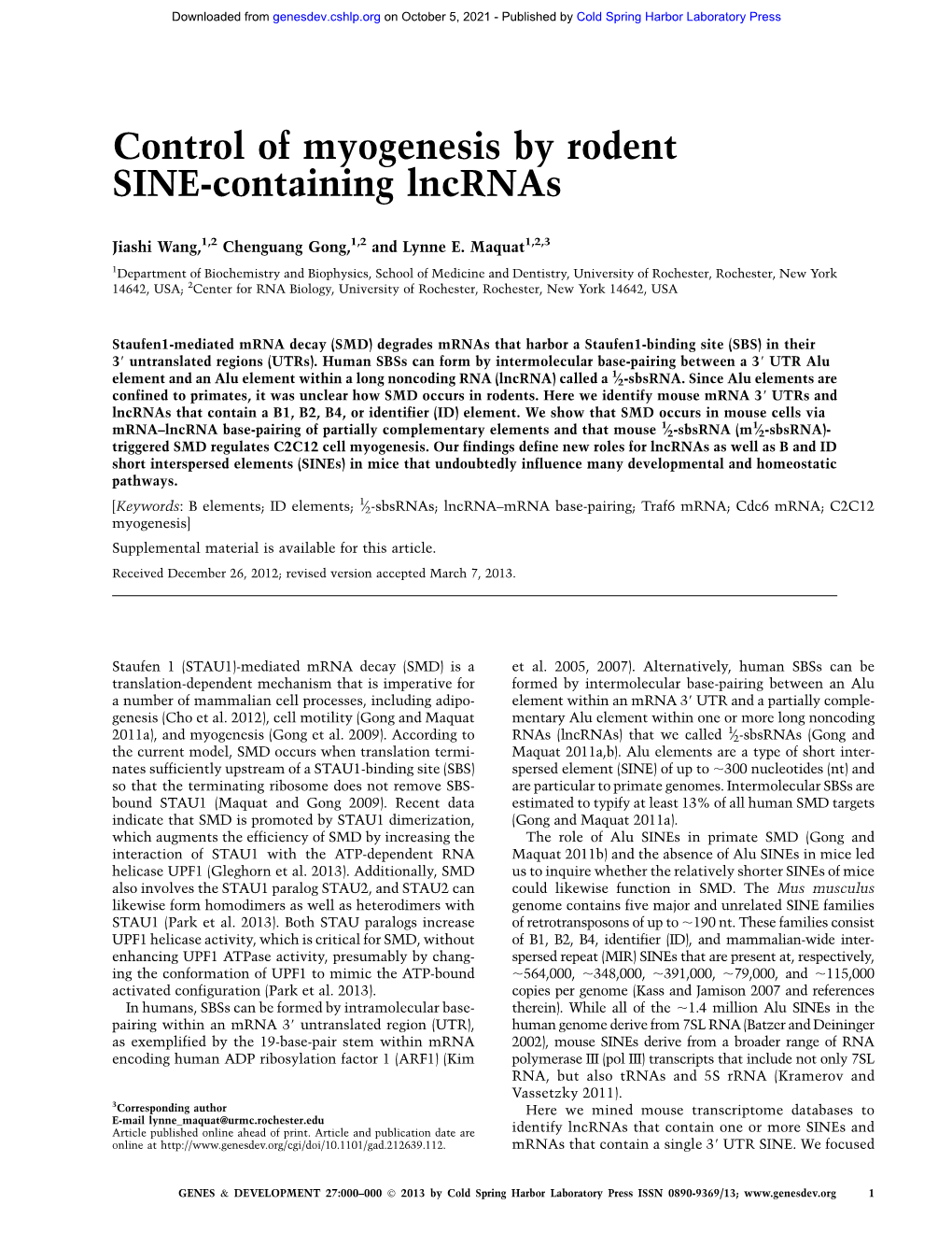 Control of Myogenesis by Rodent SINE-Containing Lncrnas