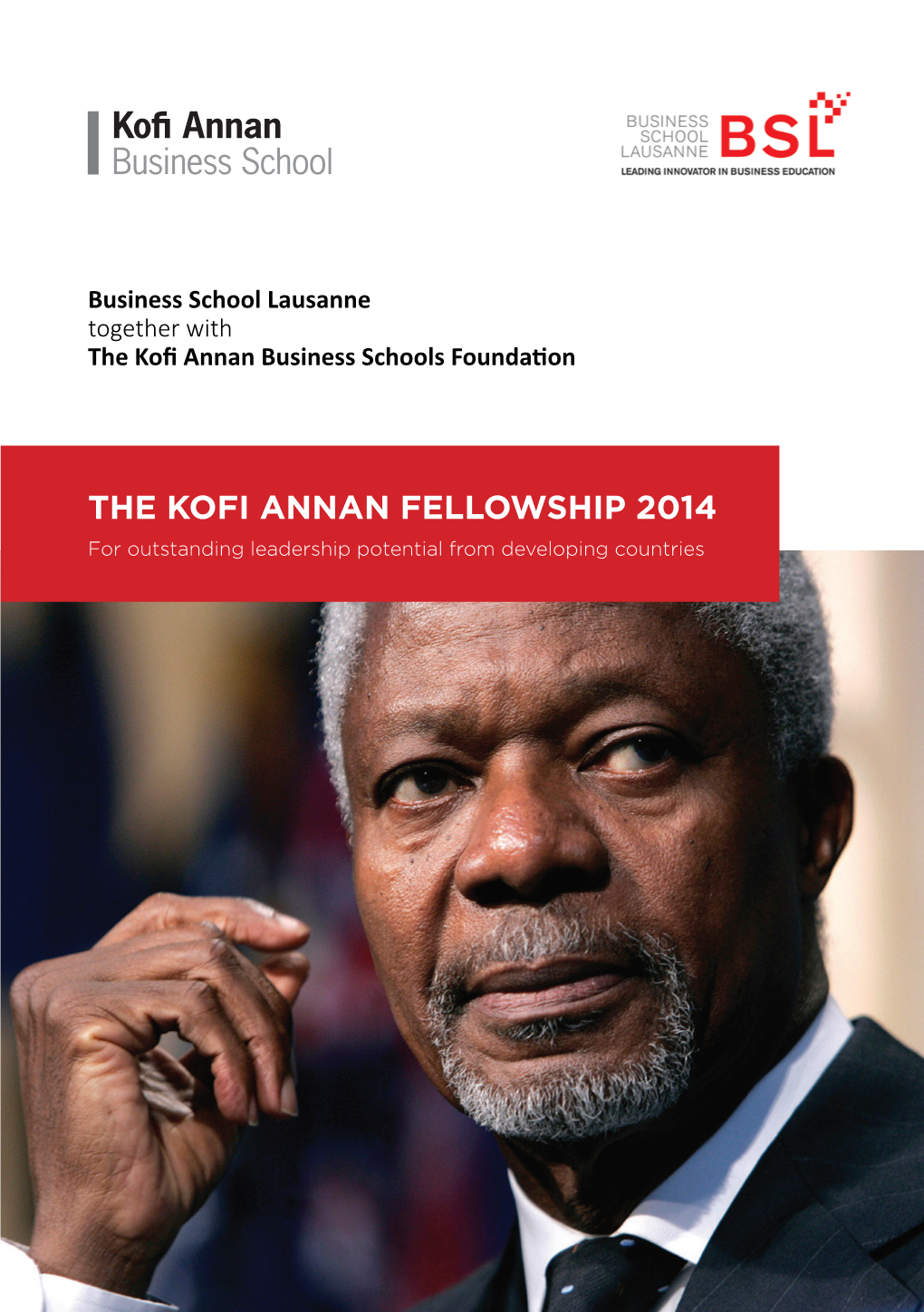 The Kofi Annan Fellowship 2014 for Outstanding Leadership Potential from Developing Countries Executive Summary the Kofi Annan Fellowship