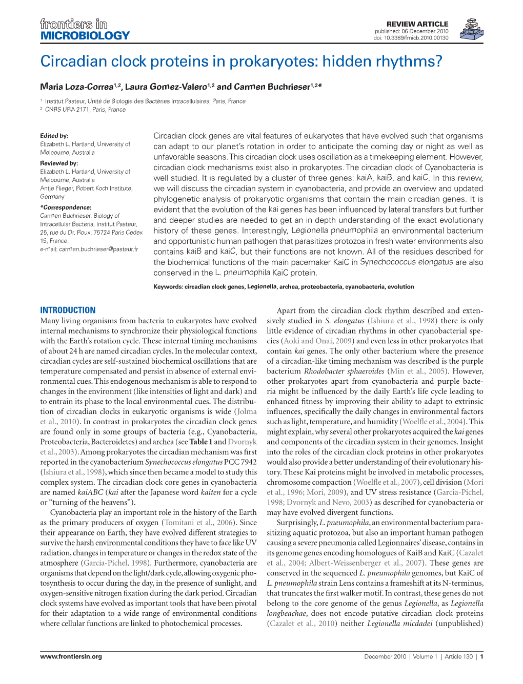 Circadian Clock Proteins in Prokaryotes: Hidden Rhythms?