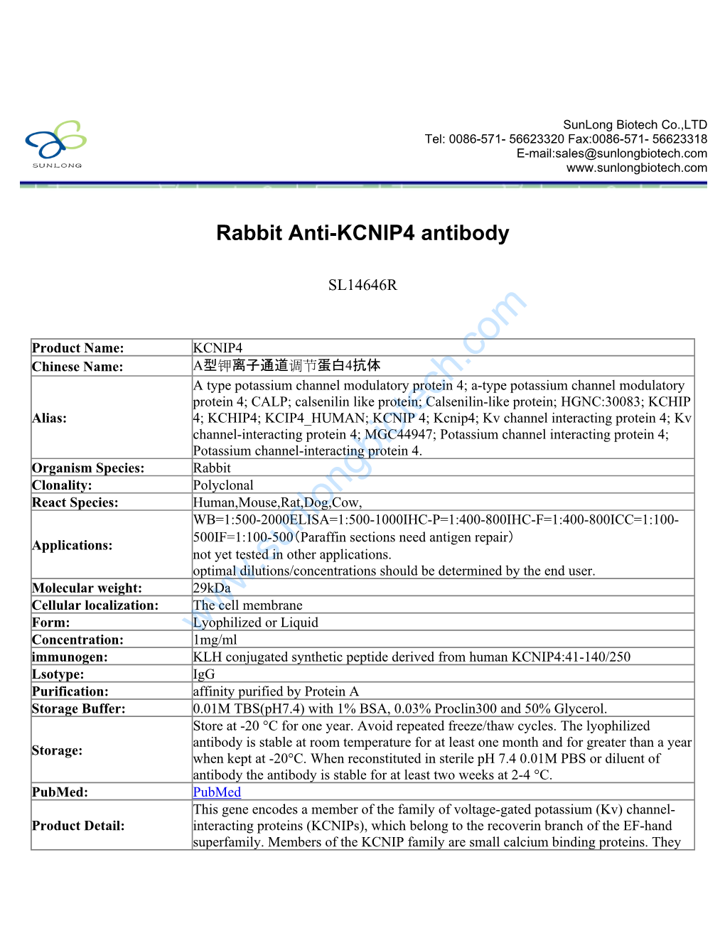 Rabbit Anti-KCNIP4 Antibody-SL14646R