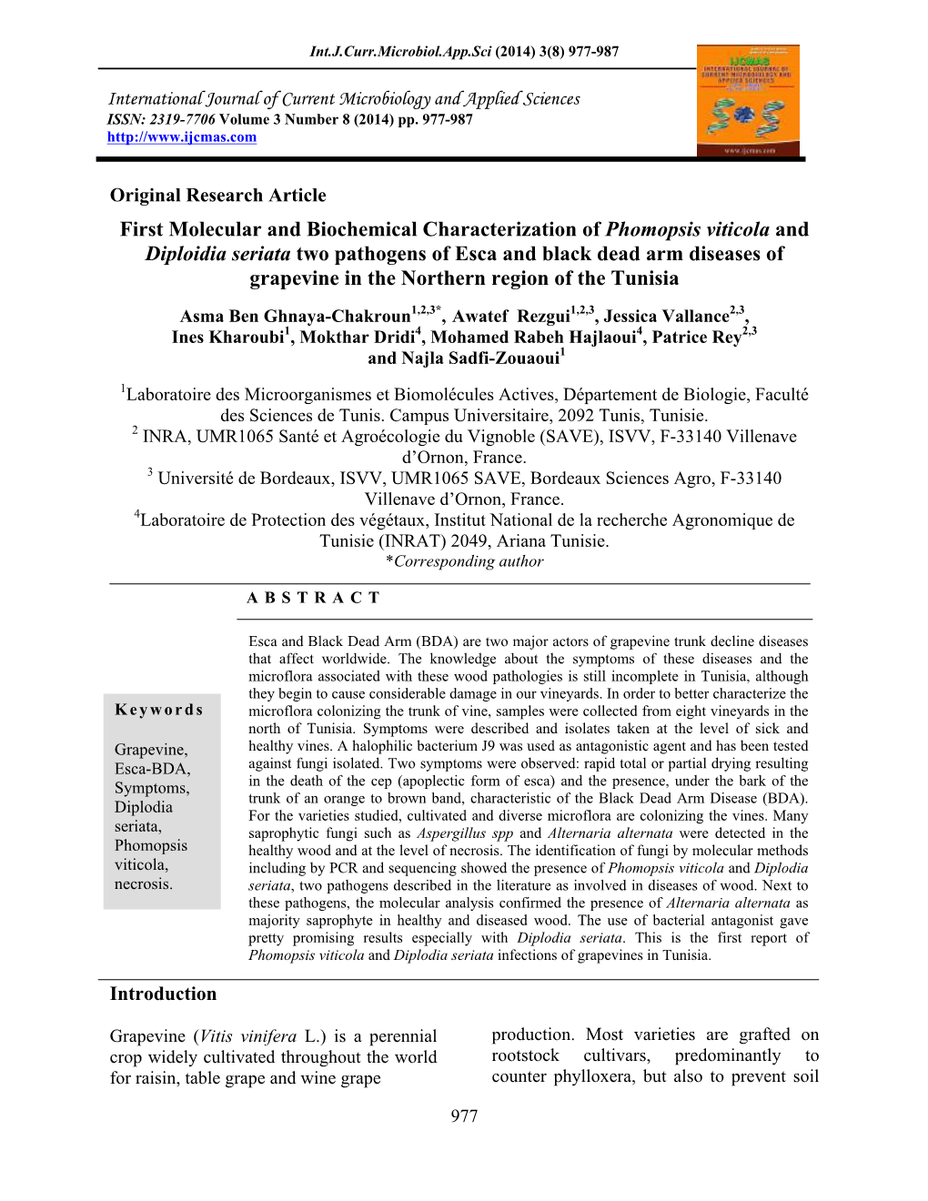 First Molecular and Biochemical Characterization of Phomopsis