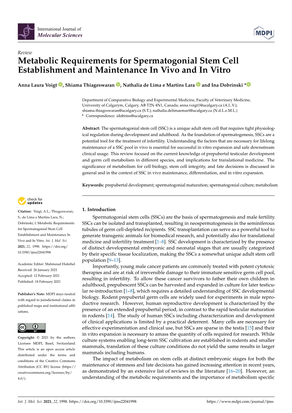 Metabolic Requirements for Spermatogonial Stem Cell Establishment and Maintenance in Vivo and in Vitro