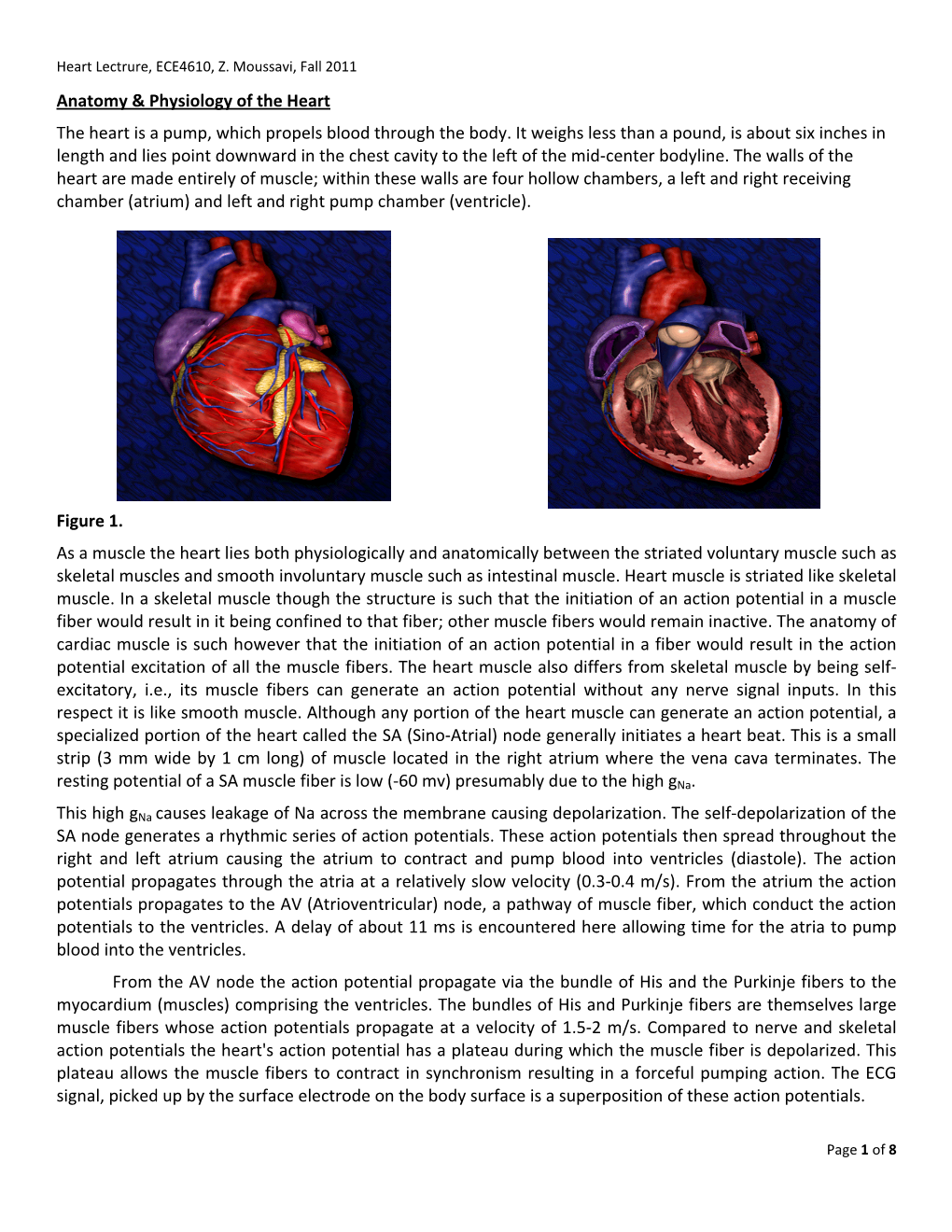 Heart Lectrure, ECE4610, Z. Moussavi, Fall 2011 Page 1 of 8