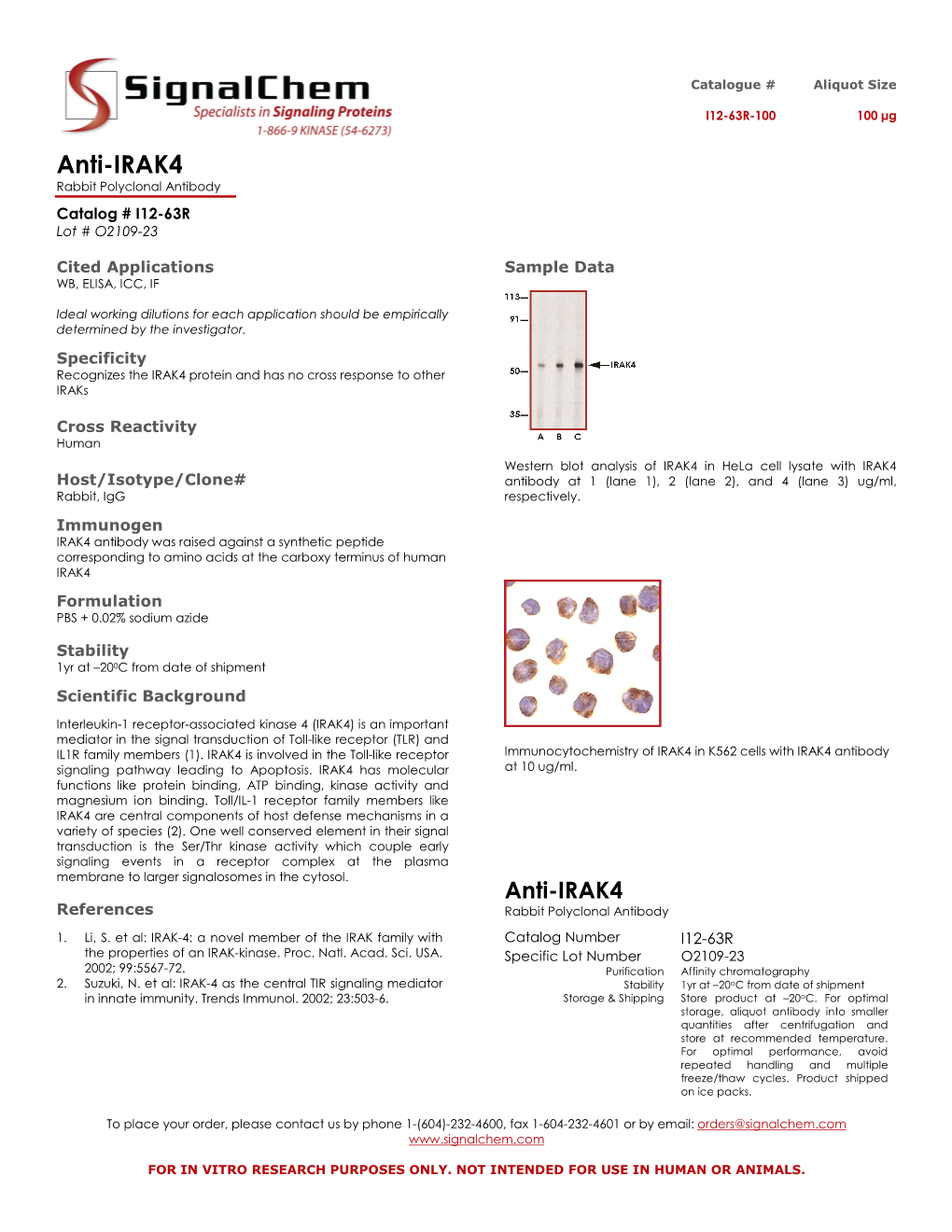 Anti-IRAK4 Rabbit Polyclonal Antibody