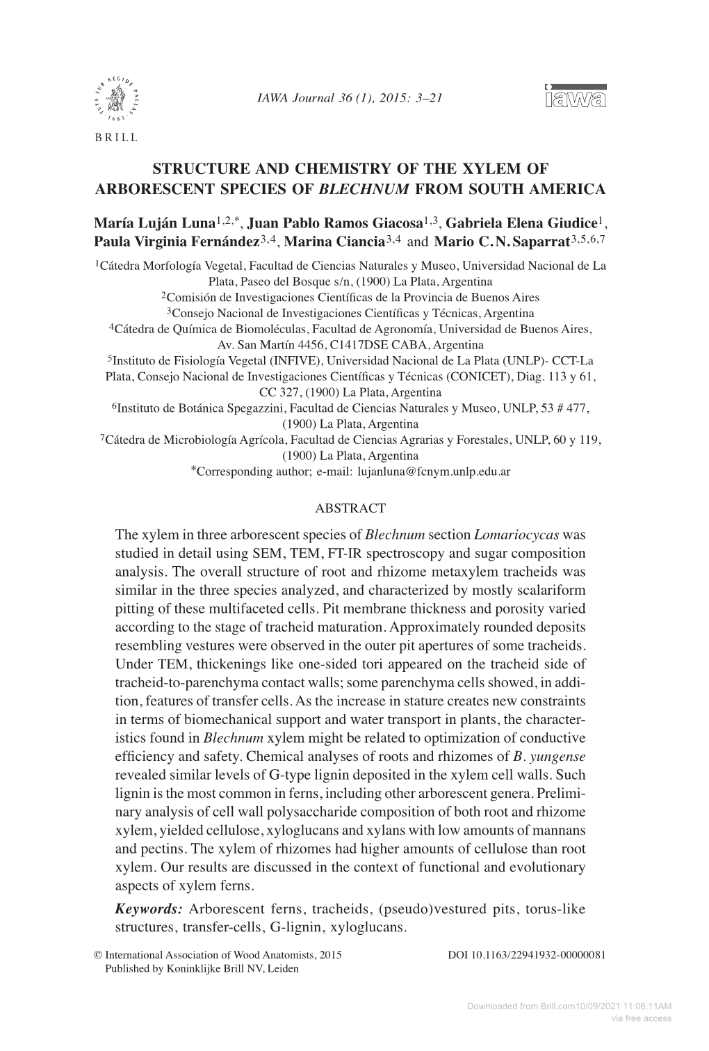 3 Luna Et Al. – Xylem of Blechnum