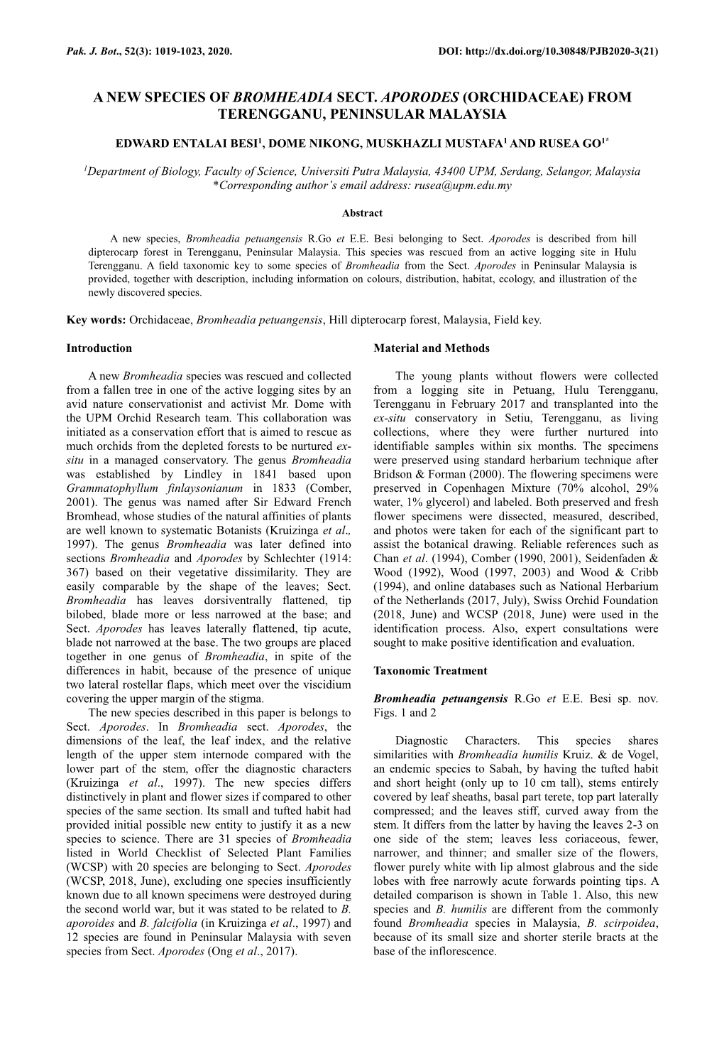 A New Species of Bromheadia Sect. Aporodes (Orchidaceae) From