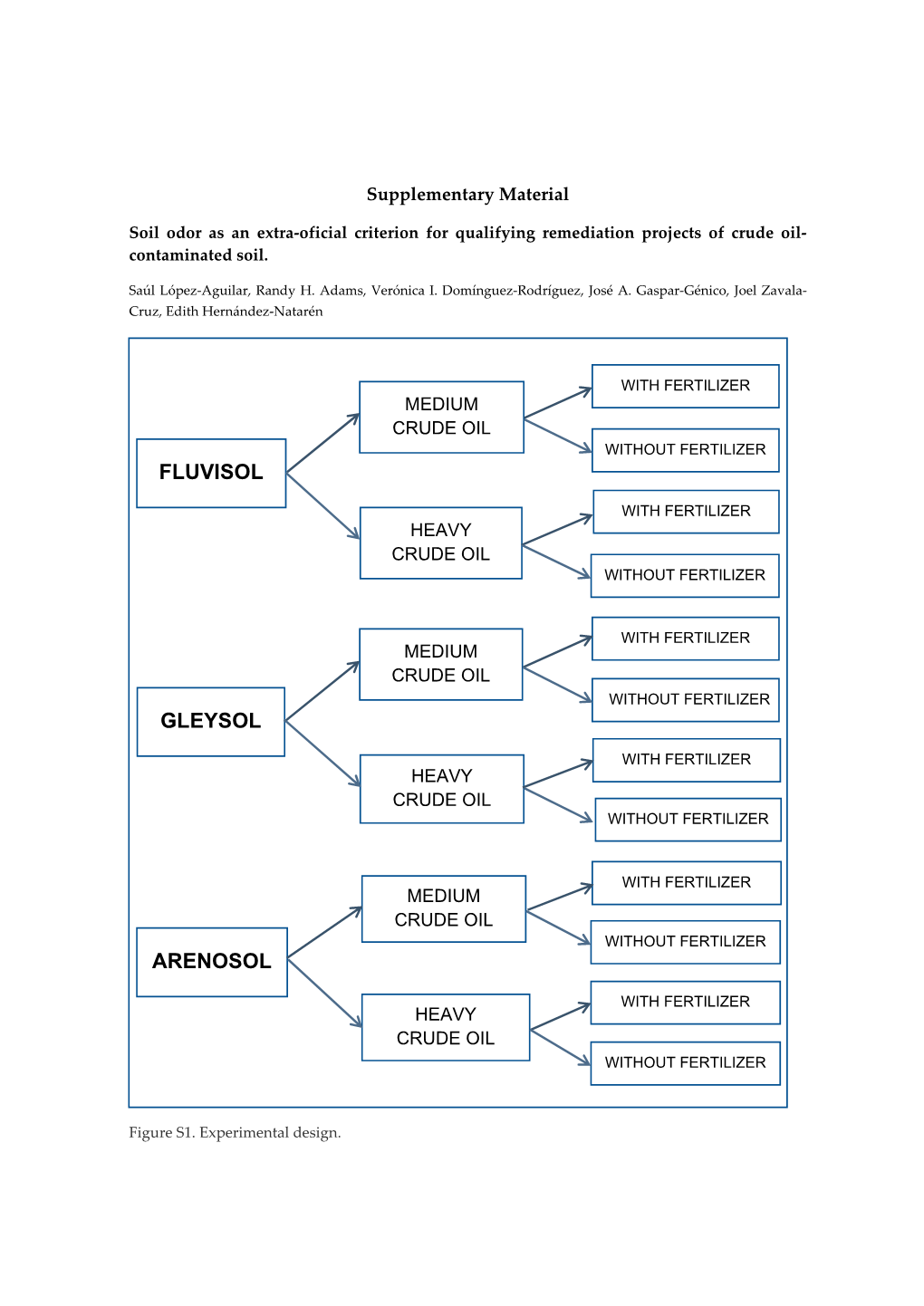 Fluvisol Gleysol Arenosol