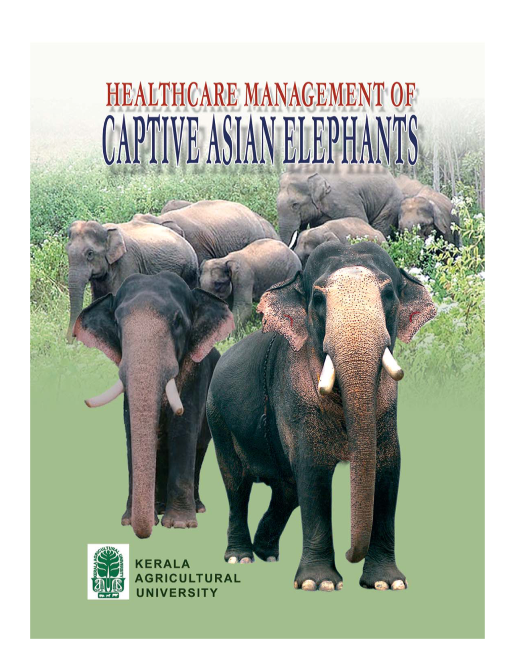 Healthcare Management of Captive Asian Elephants