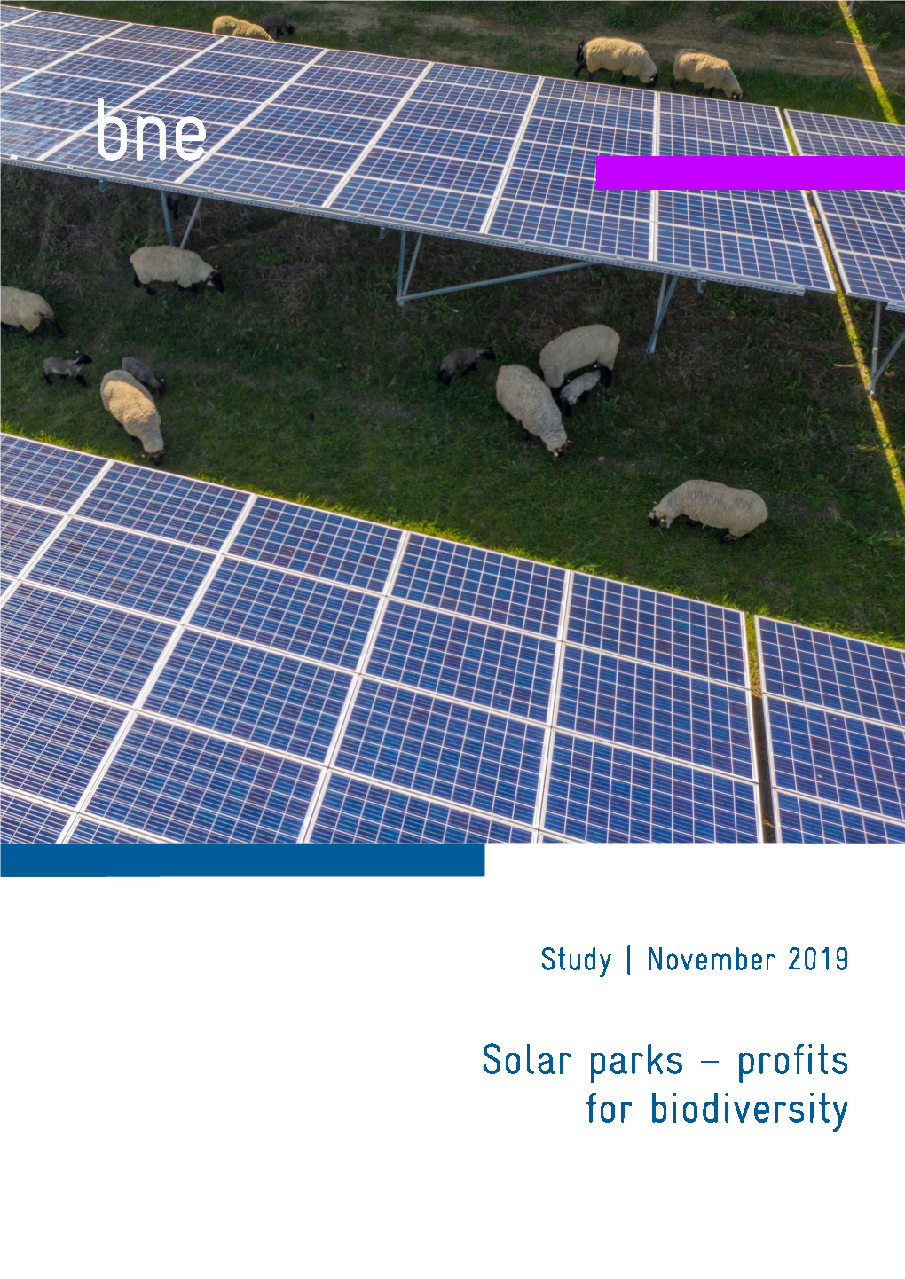 Solar Parks – Profits for Biodiversity 1 Bne | Study | Contents