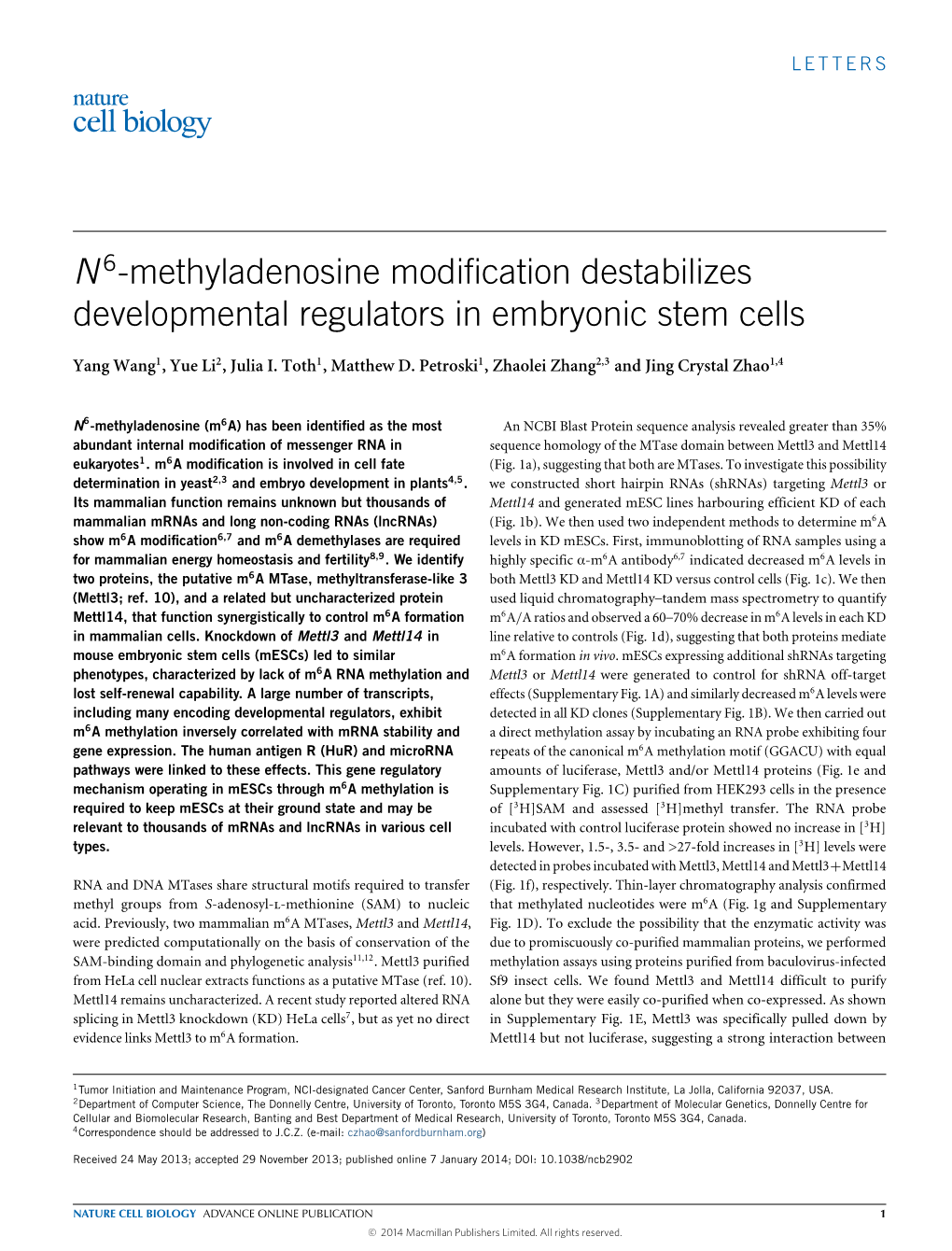 N6-Methyladenosine Modification Destabilizes Developmental