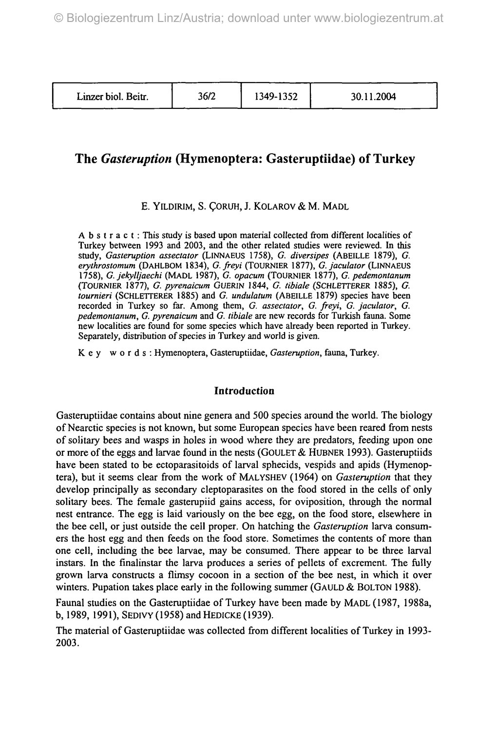 The Gasteruption (Hymenoptera: Gasteruptiidae) of Turkey