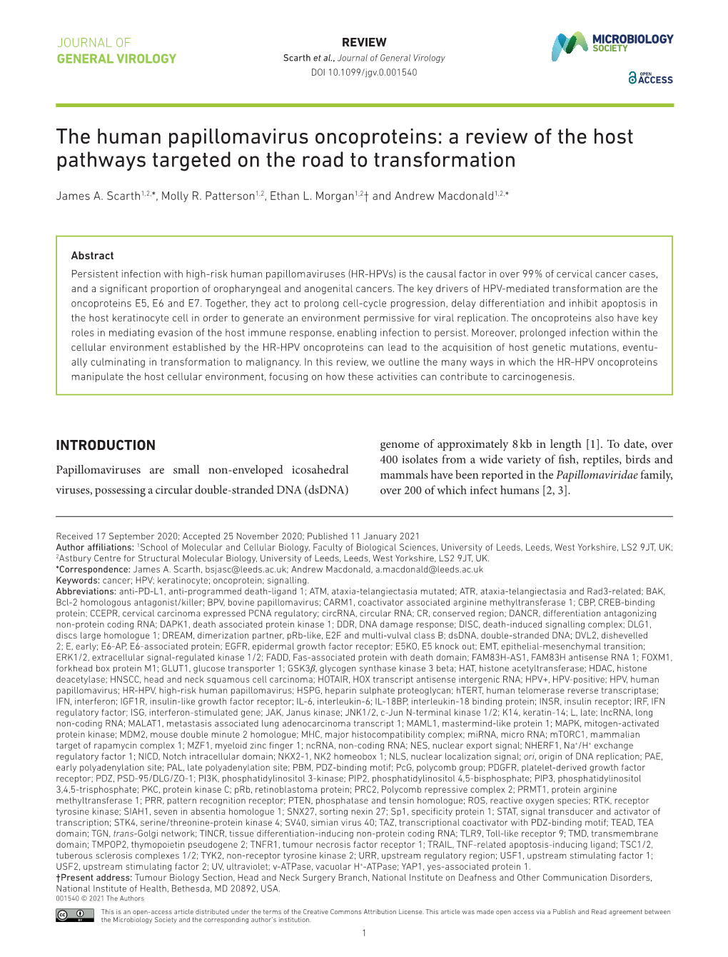 The Human Papillomavirus Oncoproteins: a Review of the Host Pathways Targeted on the Road to Transformation