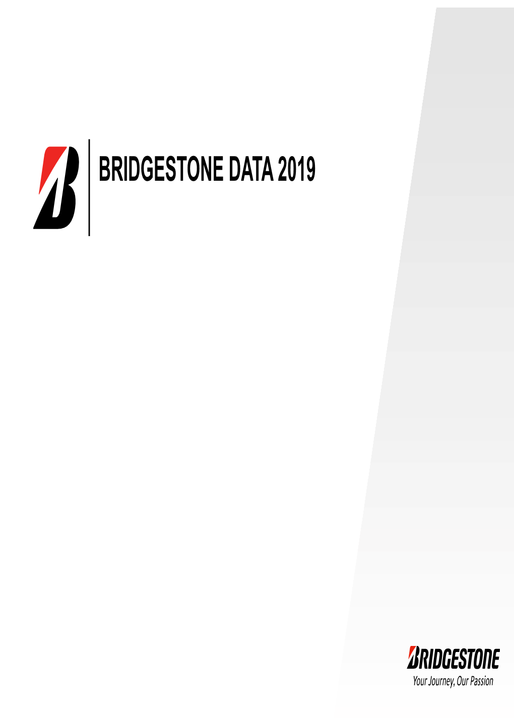 BRIDGESTONE DATA 2019 About the Bridgestone Group