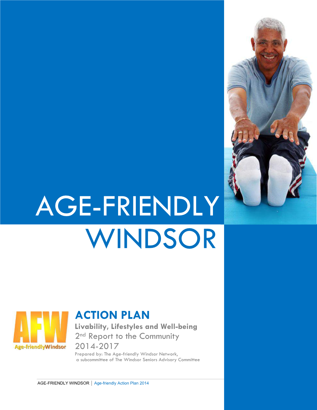 Age-Friendly Windsor – AFW Action Plan