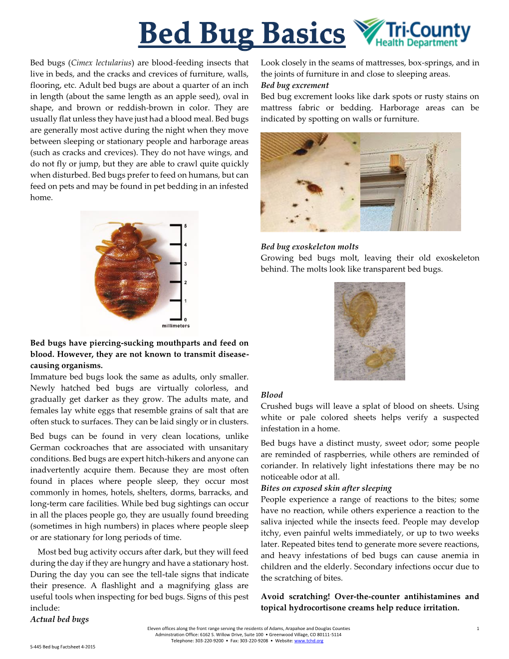 Bed Bugs (Cimex Lectularius) Are Blood-Feeding Insects That Live In