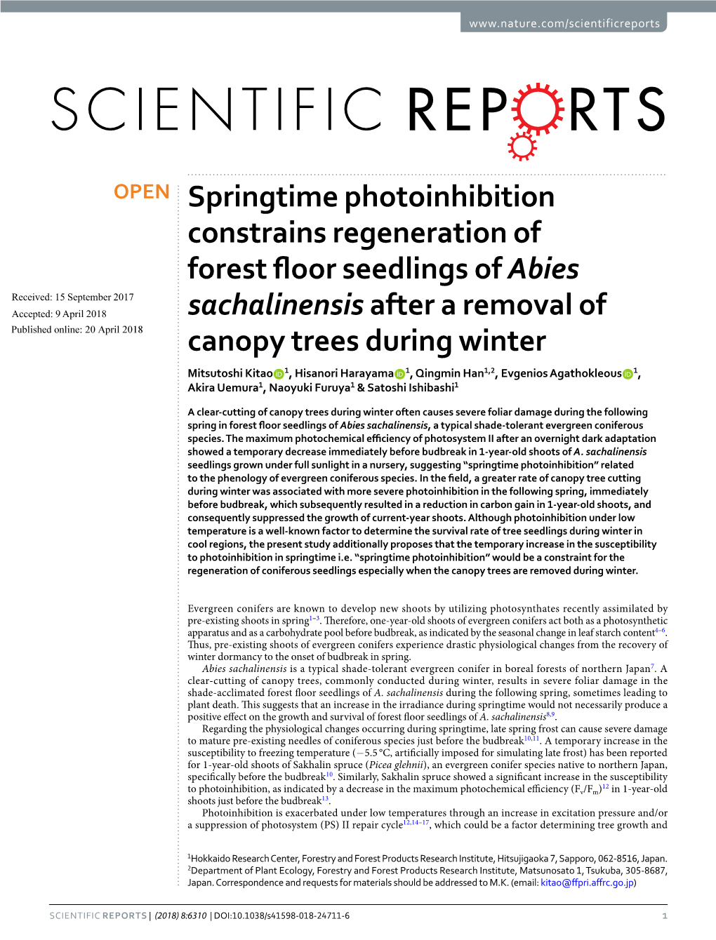 Springtime Photoinhibition Constrains Regeneration of Forest Floor Seedlings of Abies Sachalinensis After a Removal of Canopy Tr