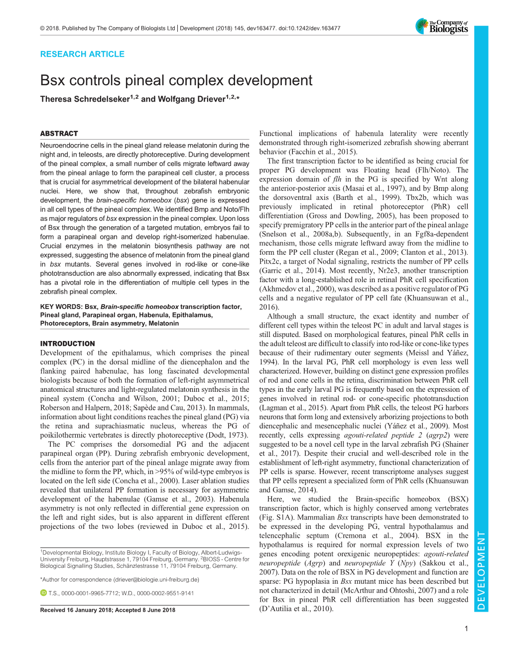 Bsx Controls Pineal Complex Development Theresa Schredelseker1,2 and Wolfgang Driever1,2,*