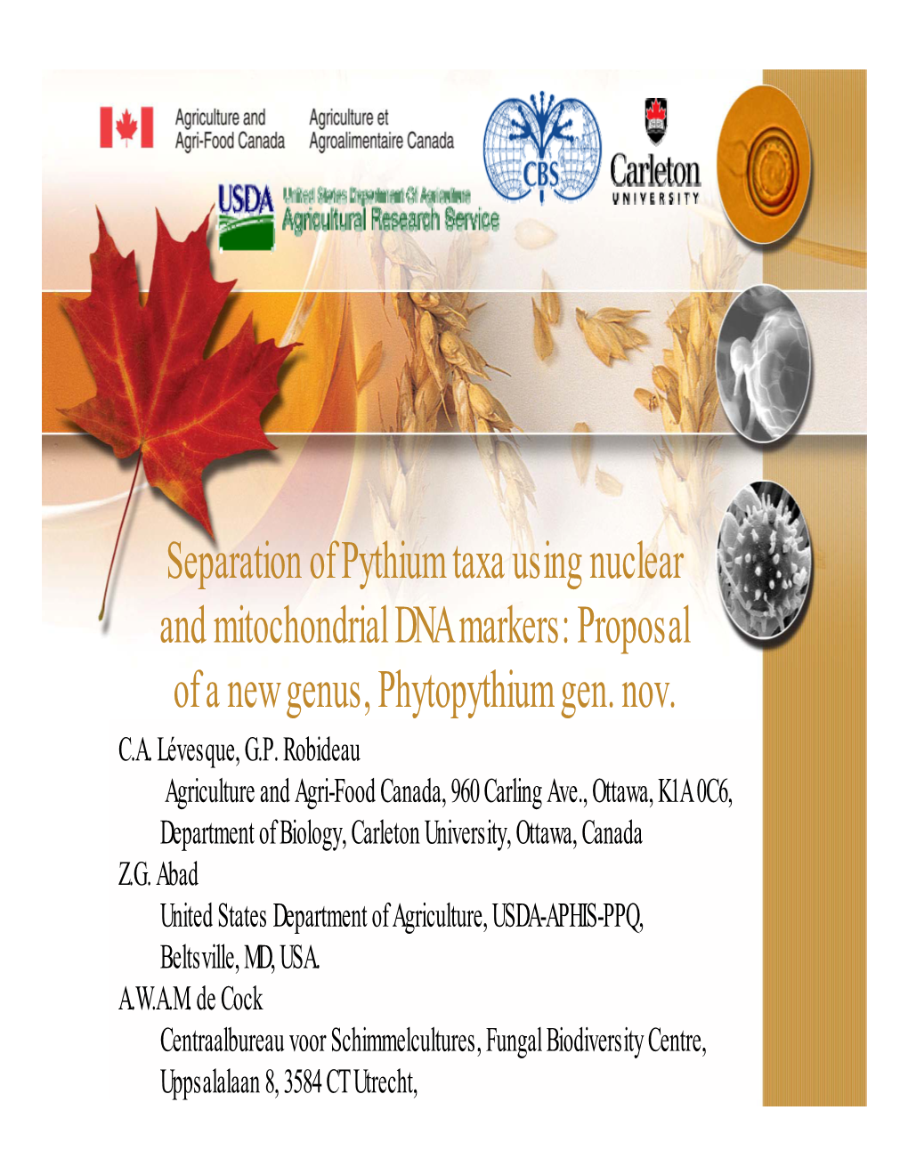 Separation of Pythium Taxa Using Nuclear and Mitochondrial DNA Markers: Proposal of a New Genus, Phytopythium Gen