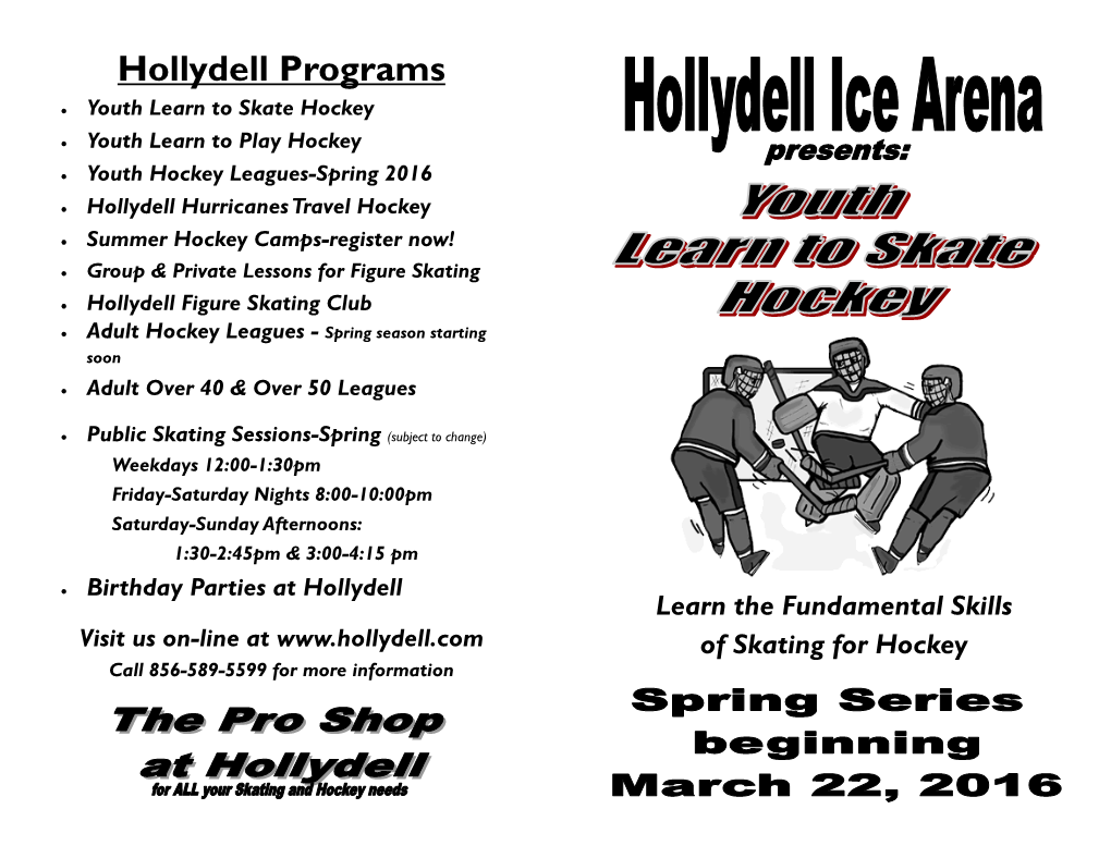 Hollydell Programs  Youth Learn to Skate Hockey