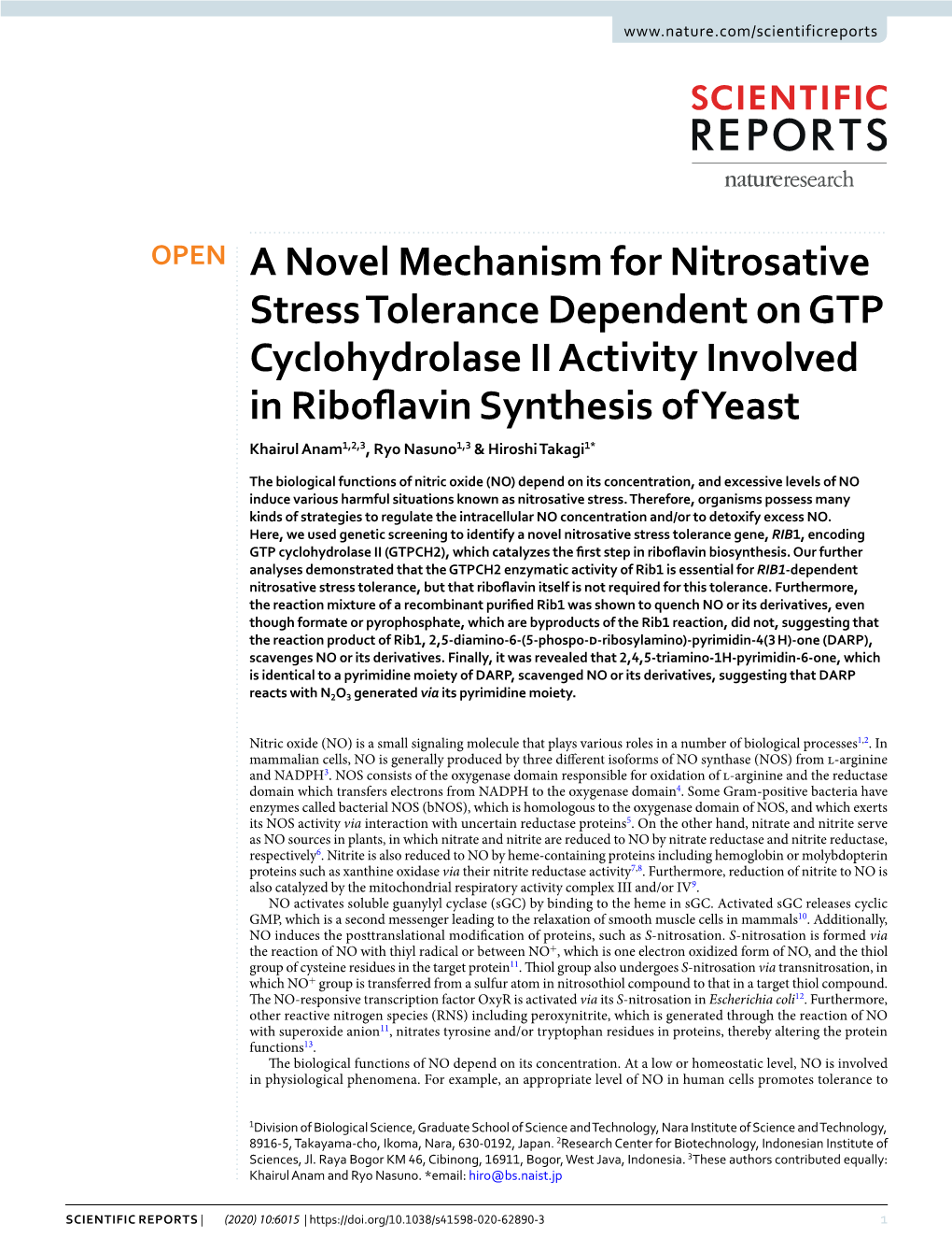 A Novel Mechanism for Nitrosative Stress Tolerance Dependent On