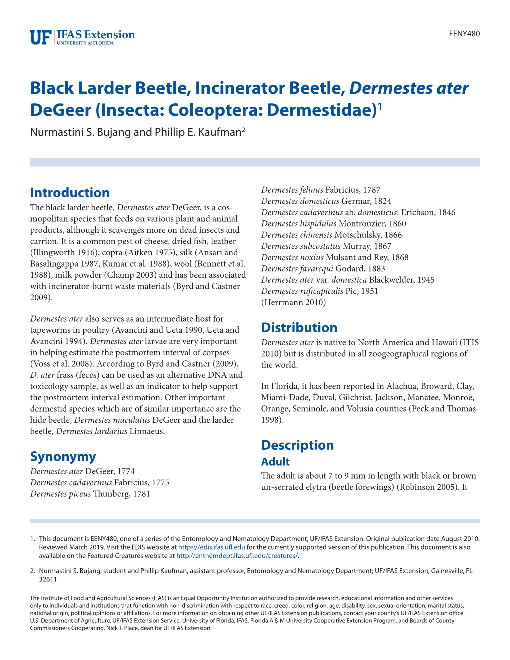 Black Larder Beetle, Incinerator Beetle, Dermestes Ater Degeer (Insecta: Coleoptera: Dermestidae)1 Nurmastini S