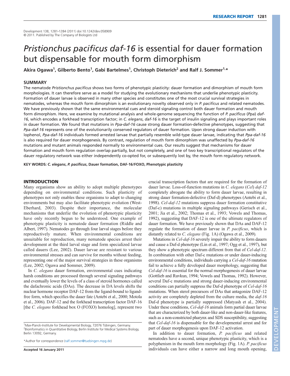 Pristionchus Pacificus Daf-16 Is Essential for Dauer Formation but Dispensable for Mouth Form Dimorphism