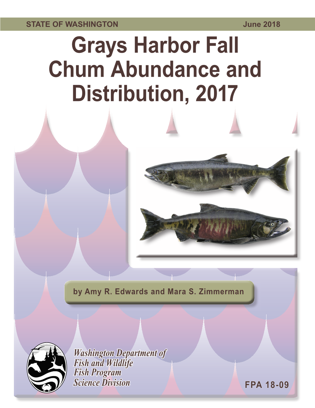 Grays Harbor Fall Chum Abundance and Distribution, 2017