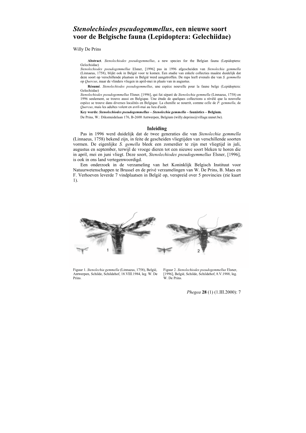 Stenolechiodes Pseudogemmellus, Een Nieuwe Soort Voor De Belgische Fauna (Lepidoptera: Gelechiidae)