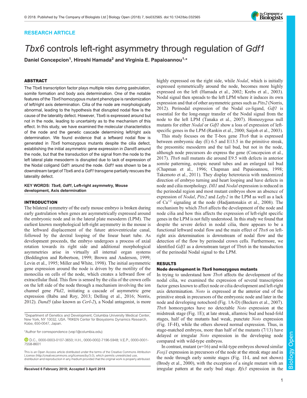 Tbx6 Controls Left-Right Asymmetry Through Regulation of Gdf1 Daniel Concepcion1, Hiroshi Hamada2 and Virginia E