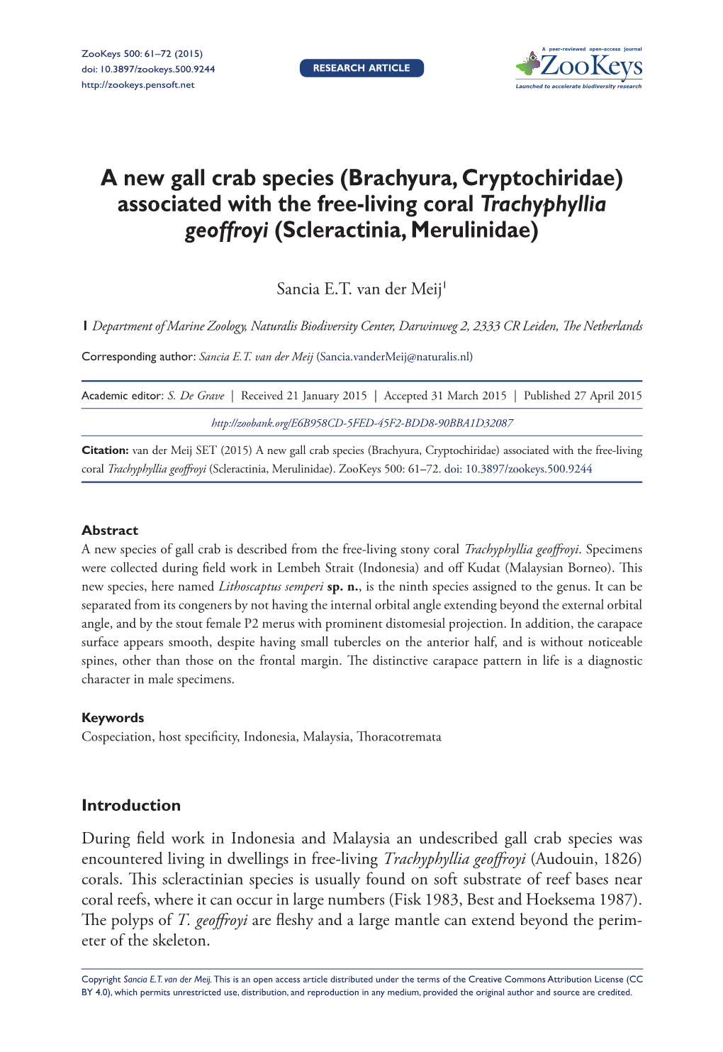 A New Gall Crab Species (Brachyura, Cryptochiridae) Associated with the Free-Living Coral Trachyphyllia Geoffroyi (Scleractinia, Merulinidae)