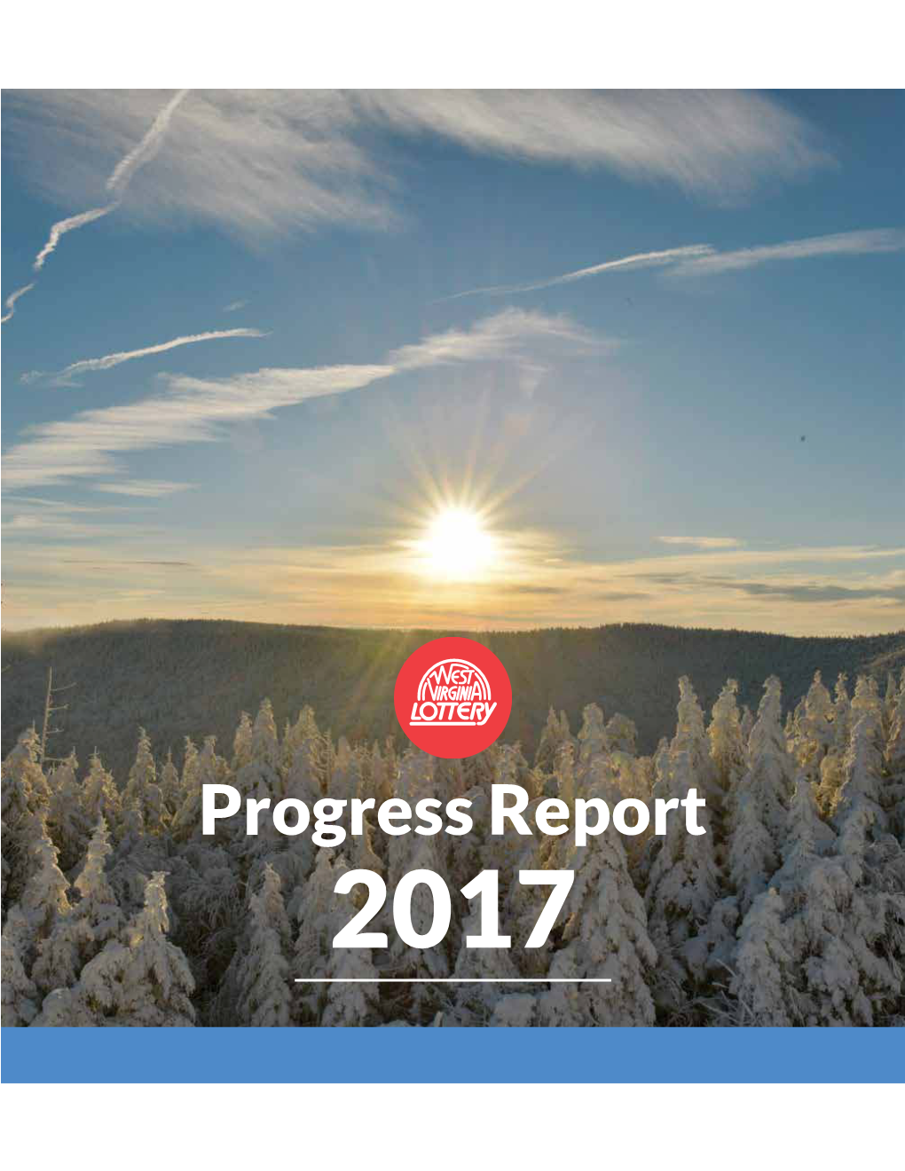 Progress Report 2017